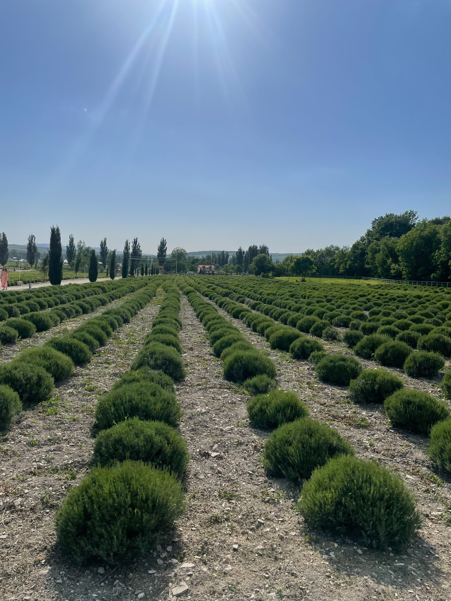 Локации в городе Анапа для семейной (лове стори и индивидуальной)съемки. Фотограф и Видеограф Анапа, Новороссийск, Краснодар. Алина и Женя