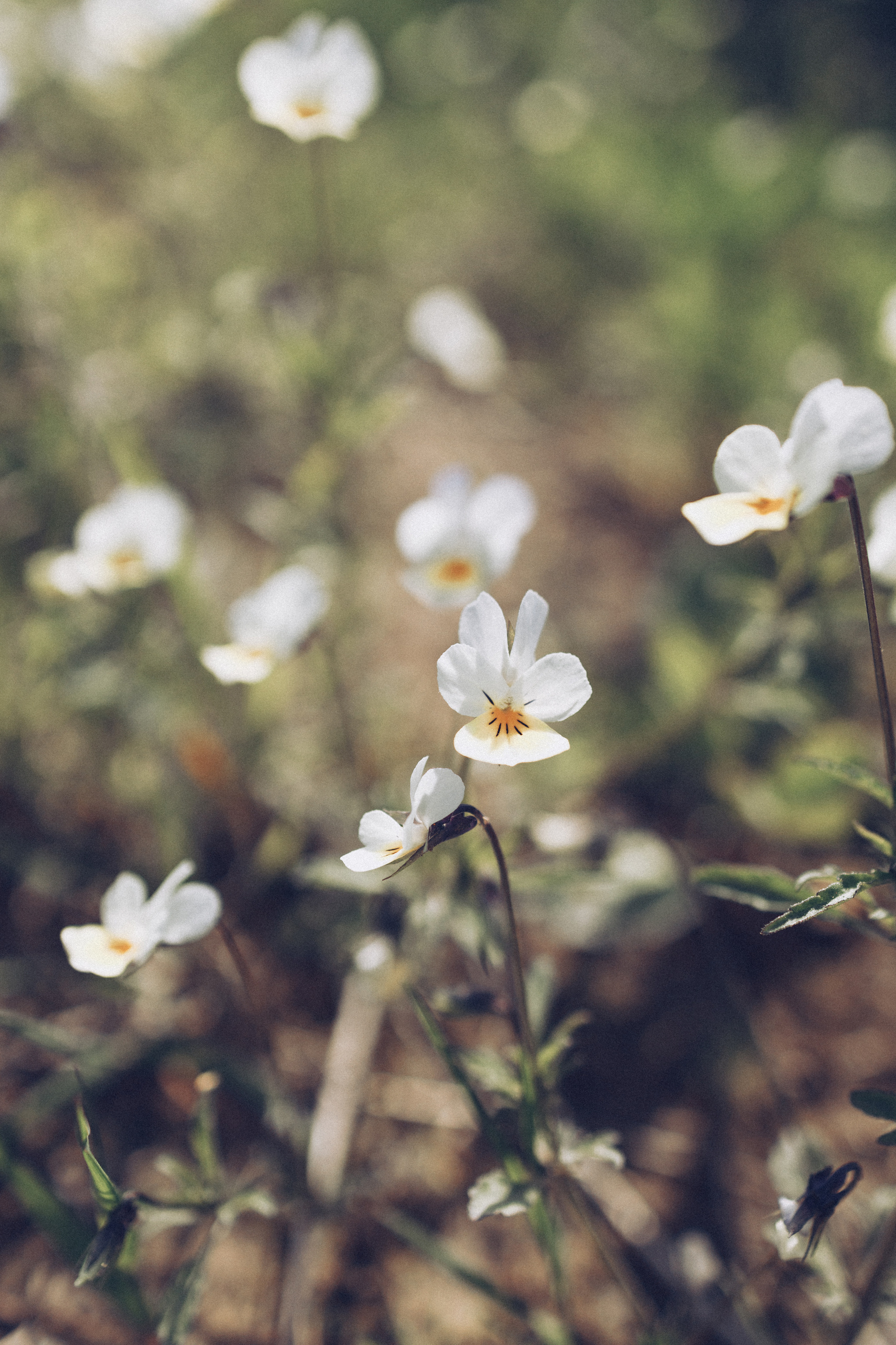 Лето, привеет!