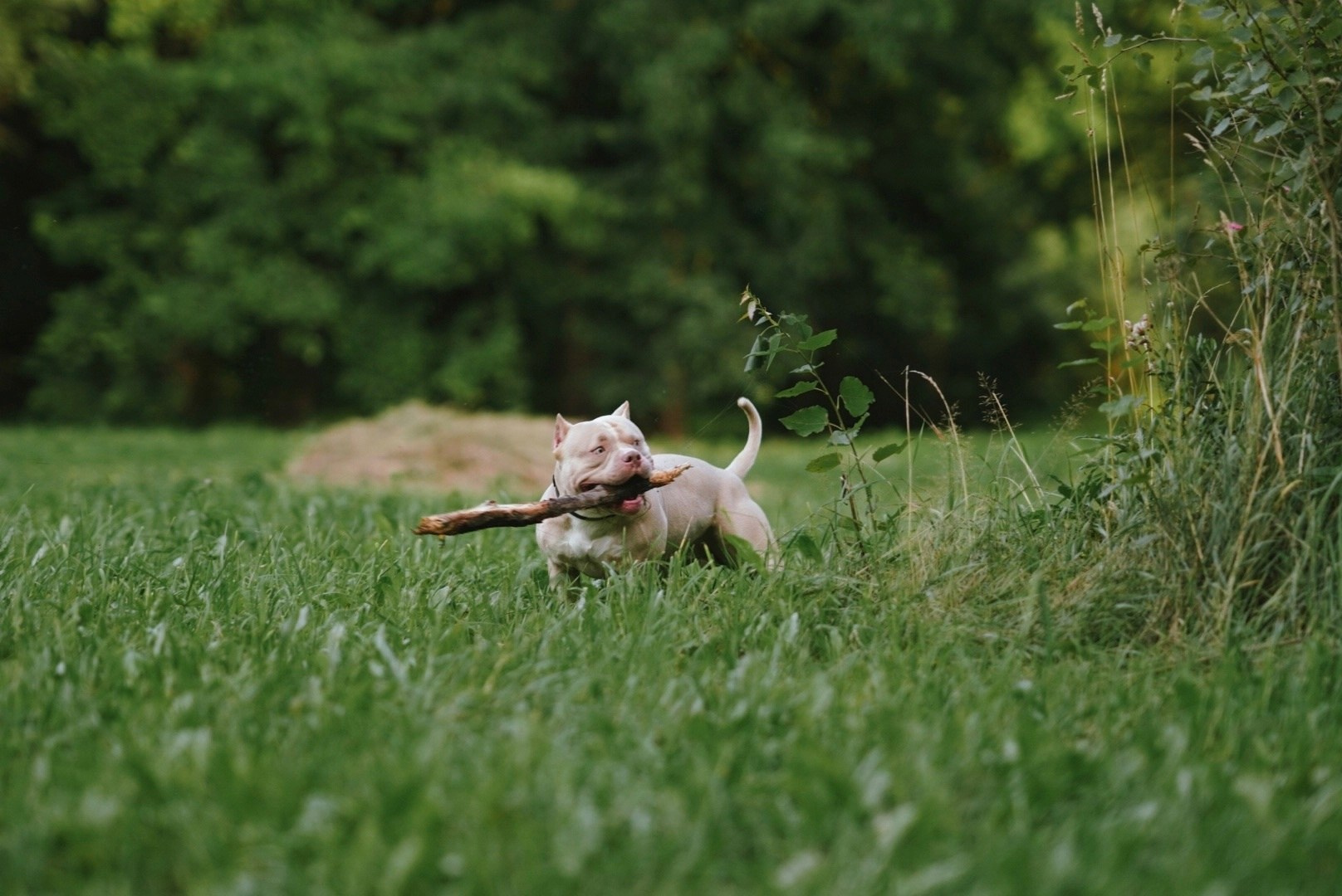 Индивидуальная съемка. Northerndaria Фотограф & Видеограф