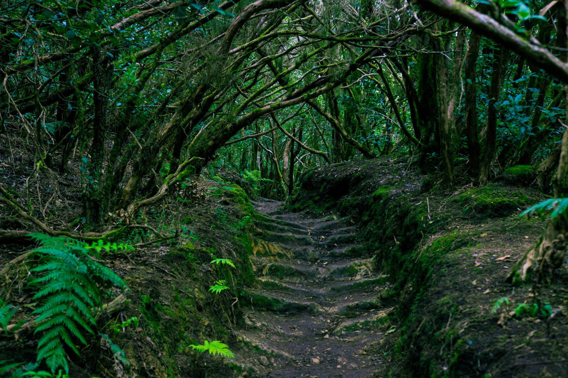 201603 Тенерифе. Фотографии