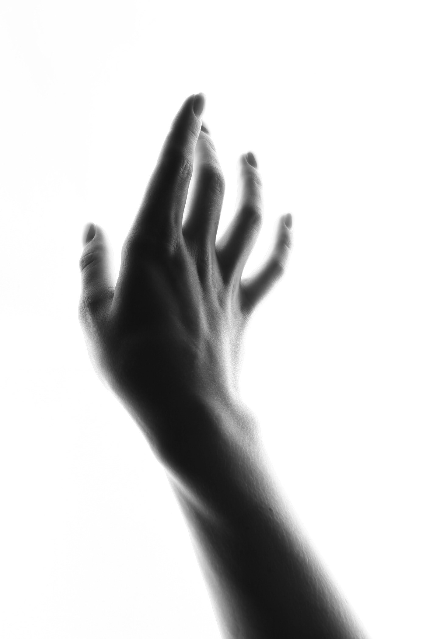 съёмка силуэта на фоне софтбокса фото Владимир Лёвин