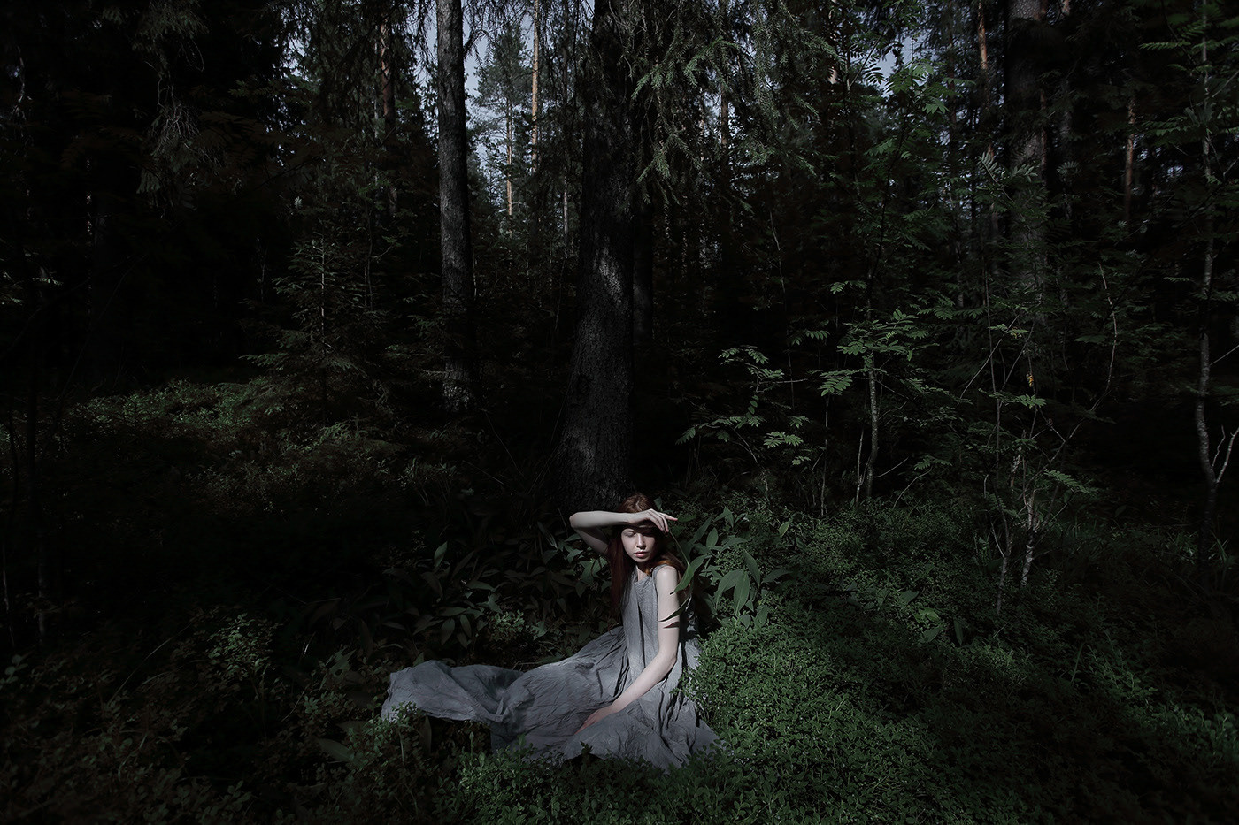 снимок в лесу при выборе фотокамеры для новичка фото Владимир Лёвин