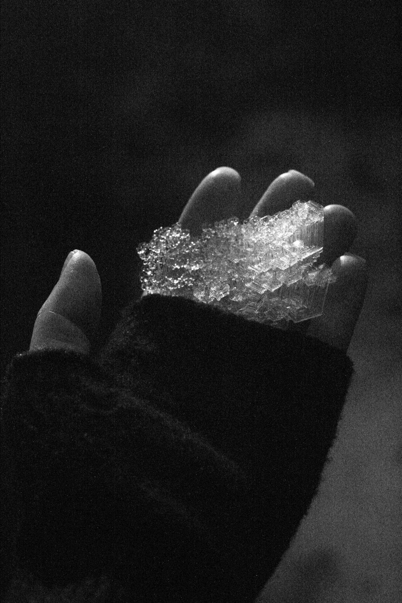 Train to the Future. Kristina Sergeeva