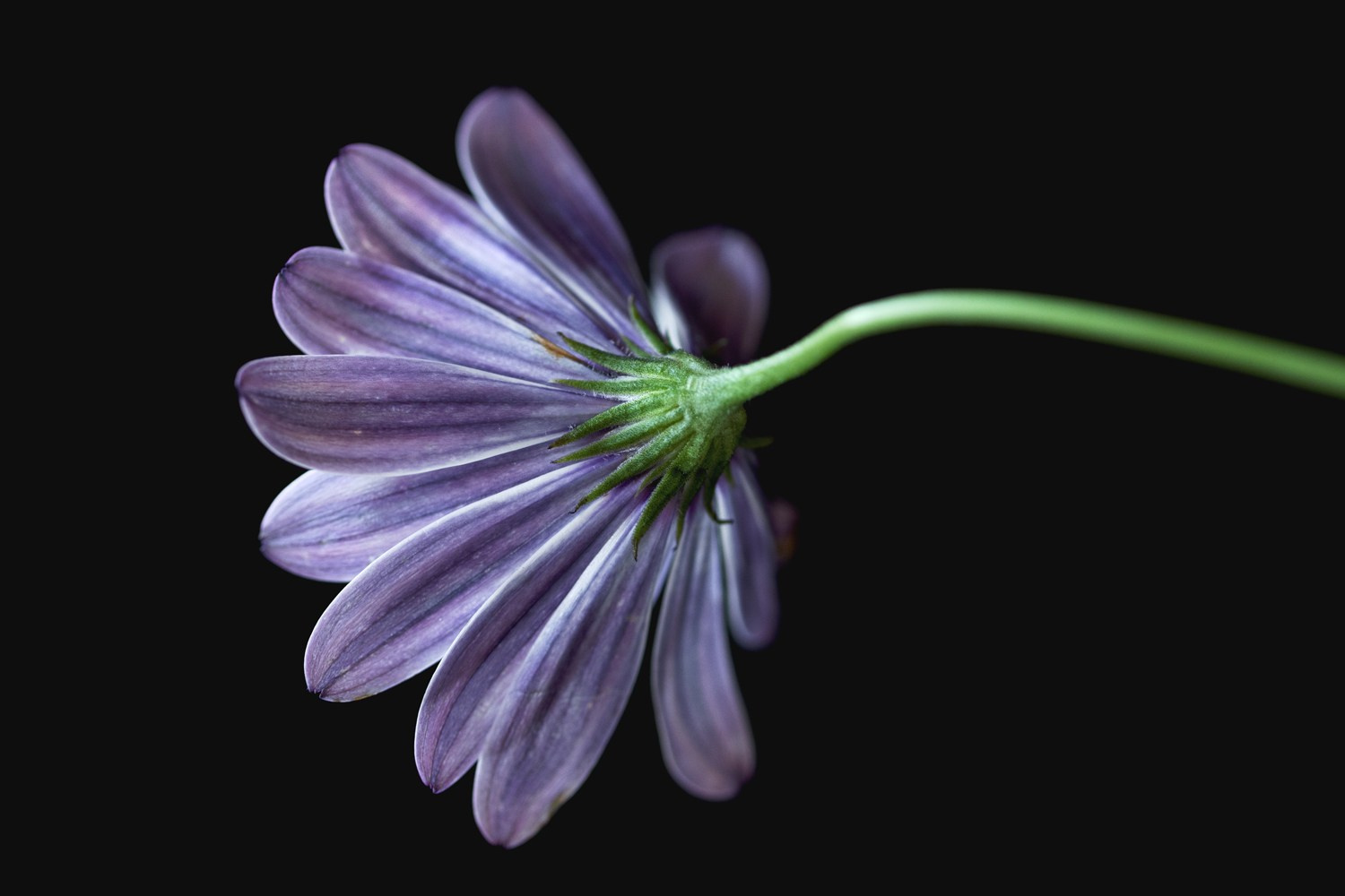 About me. Author’s fine art prints with international delivery