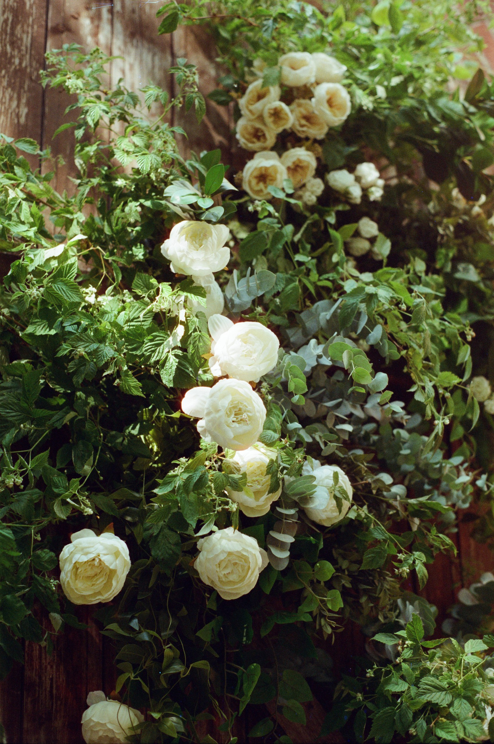 Свадьба | Ира и Костя. Никита Мако. Лайфстайл фотограф Новосибирск