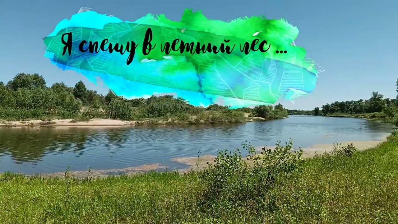 Синрин-йоку. Марина Рыбкина — Глубинная психология