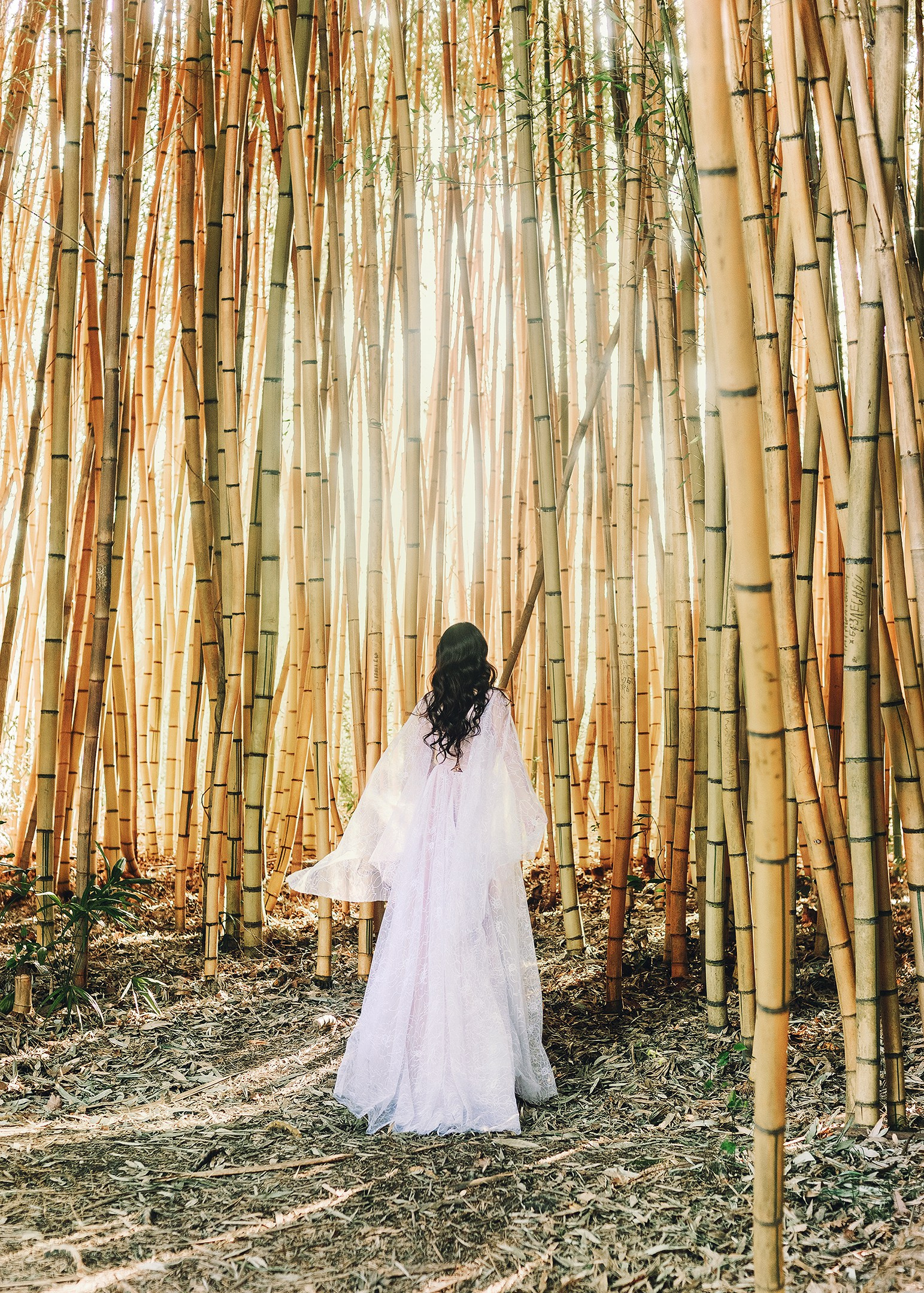 Парк в Адлере «Южные культуры». Фотограф в Адлере, Сириусе, Красной Поляне — лавстори, семейные и индивидуальные фотосессии
