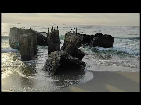 Viral pop-up exhibition «Wave warning». Julia Gorbunova