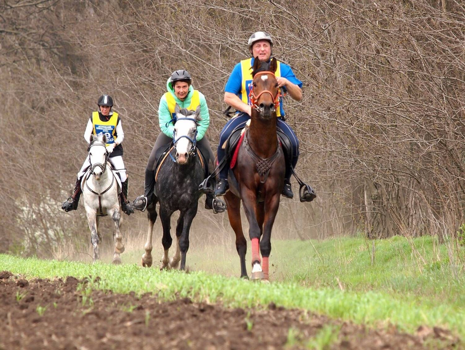 Seminar 5 July Evaluating gates in dressage. Liana Antanovich | Equestrian Strategies