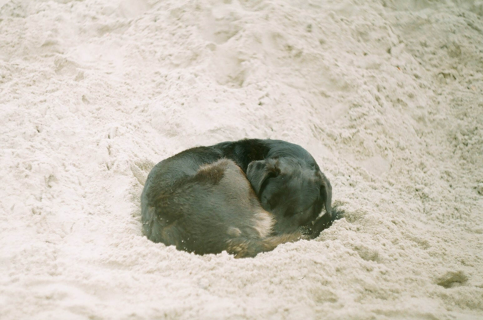 #спецкорНвер