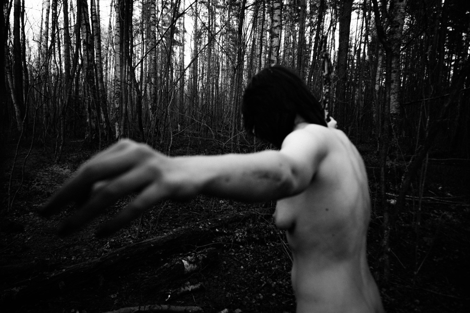 Wandering. ✨misha khazov • photography • performance