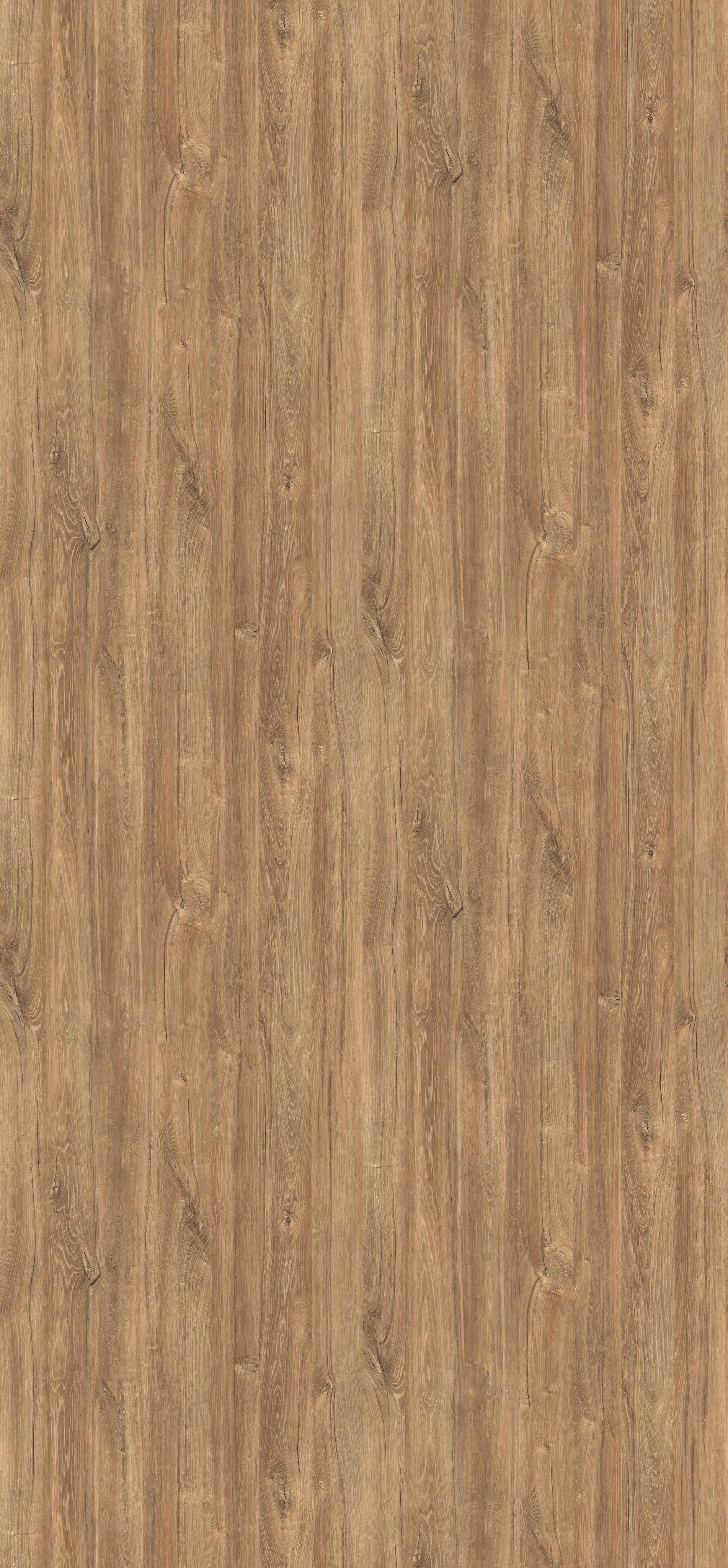 EGGER. Главная