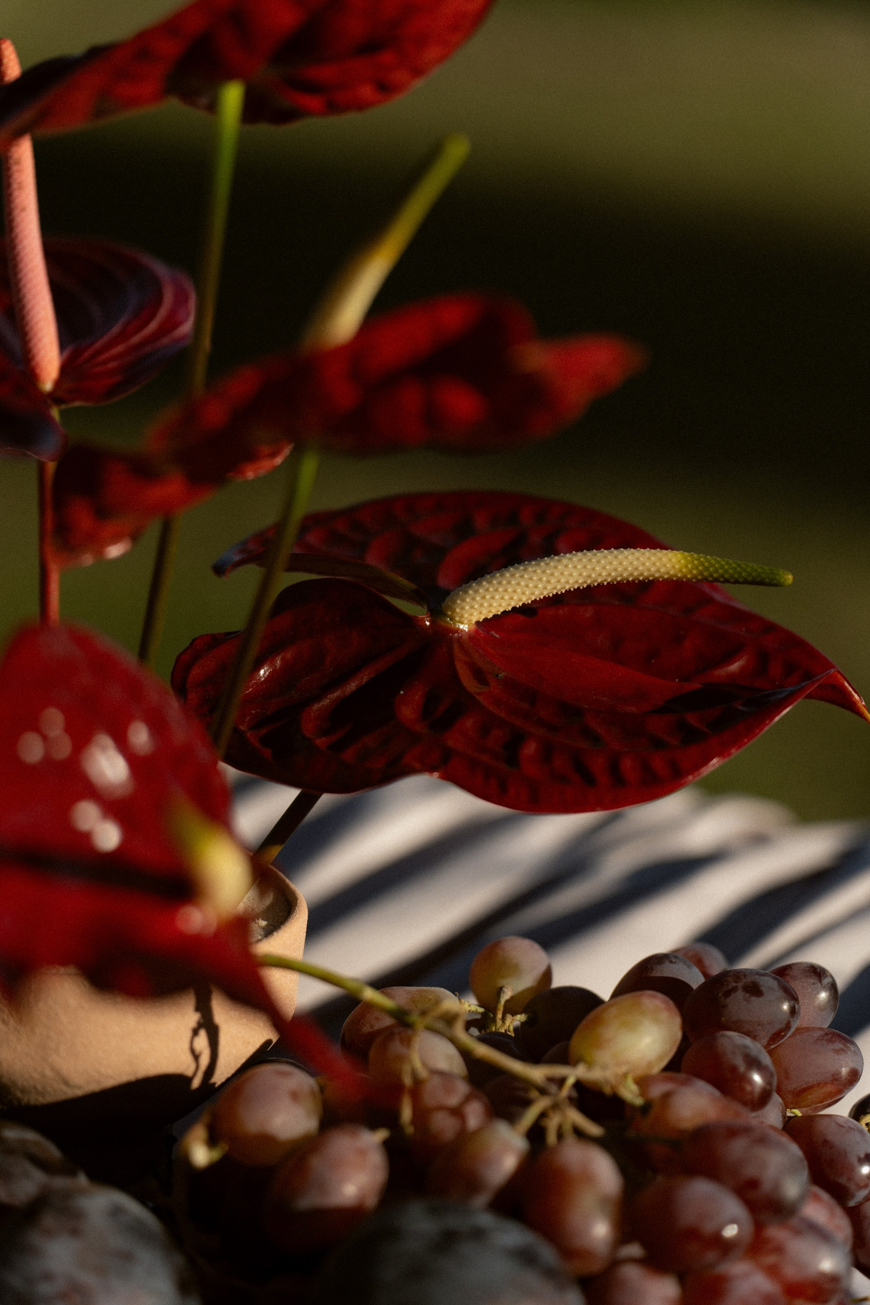 Свадьбы. Фотограф событийных мероприятий в Москве и МО