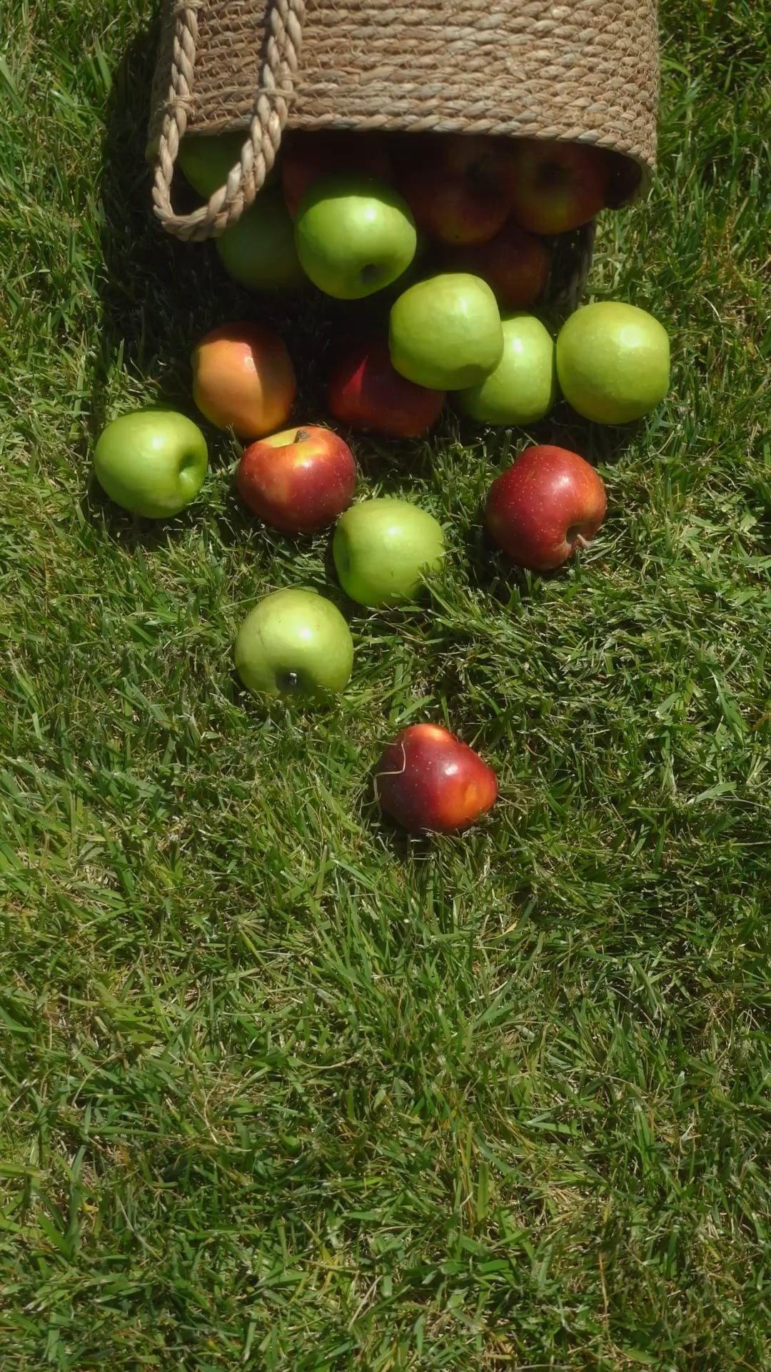 WEDDING DAY. Агата Акварель видеограф Сочи Краснодар