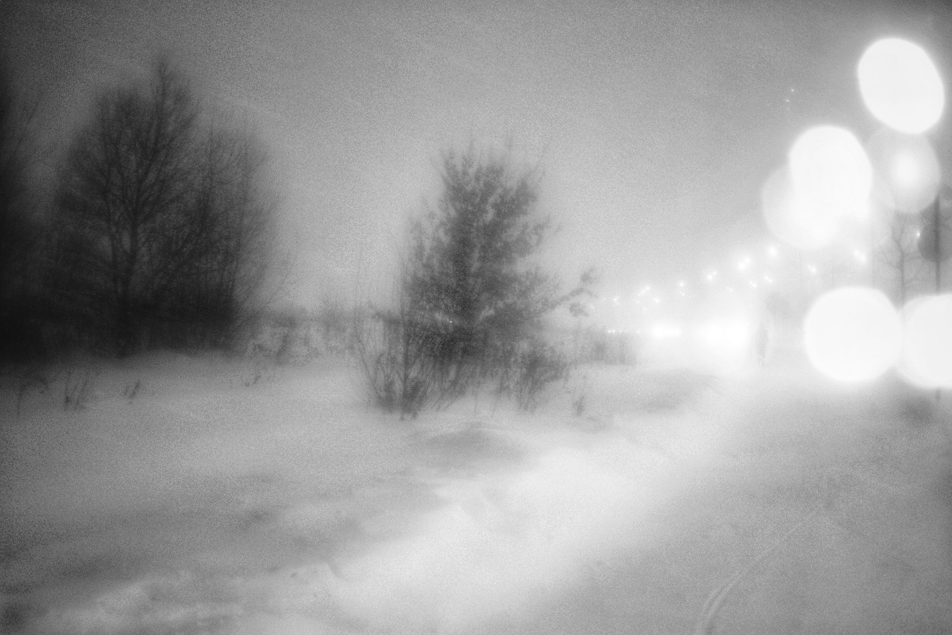 Фотограф, дизайнер Малыш Виталий. Москва