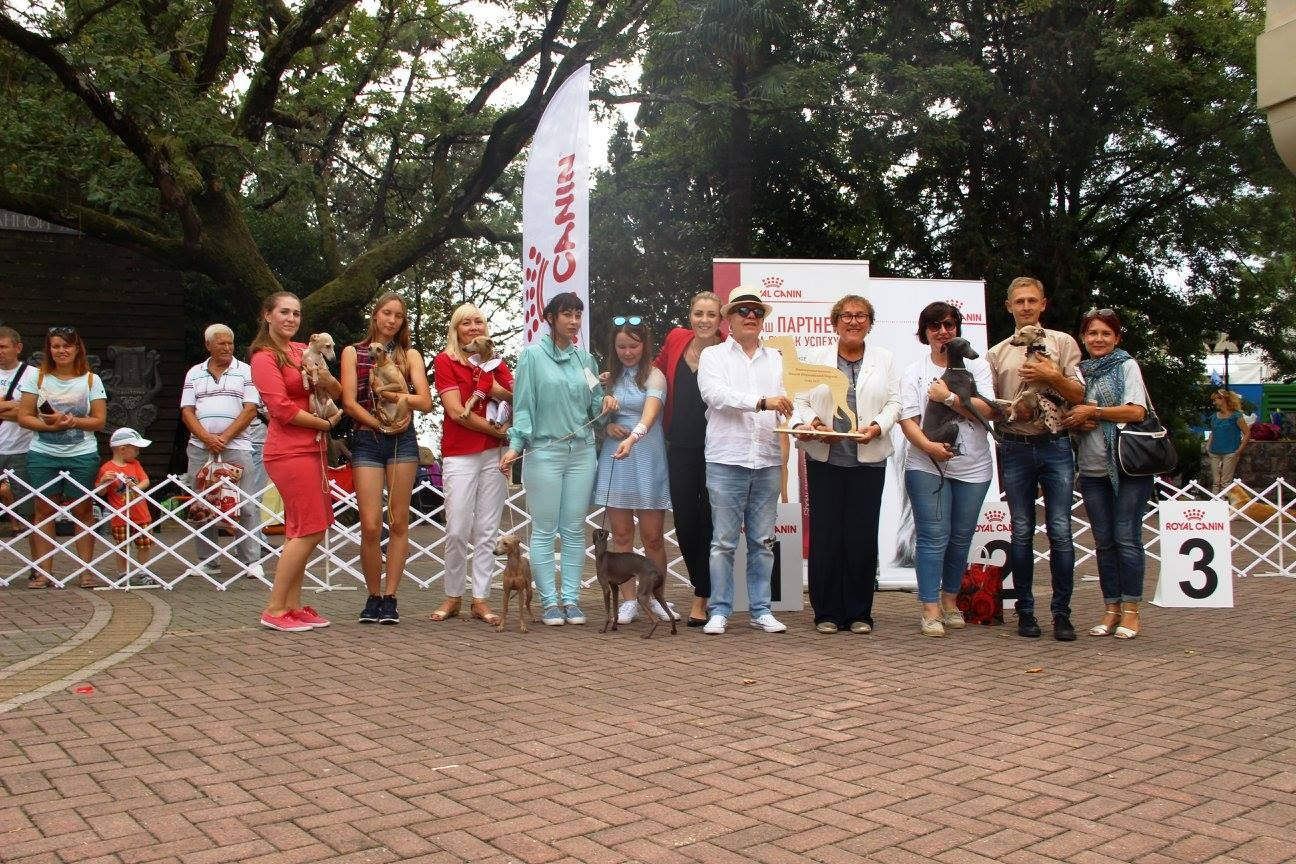 Организация монопородной выставки. Профессиональный питомник левреток РКФ/FCI ASTI SAPPHIRE 💎 Сочи|Санкт-Петербург