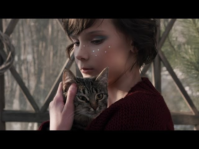 Портфолио видео. Алина Малышева, свадебный и семейный фотограф Москва