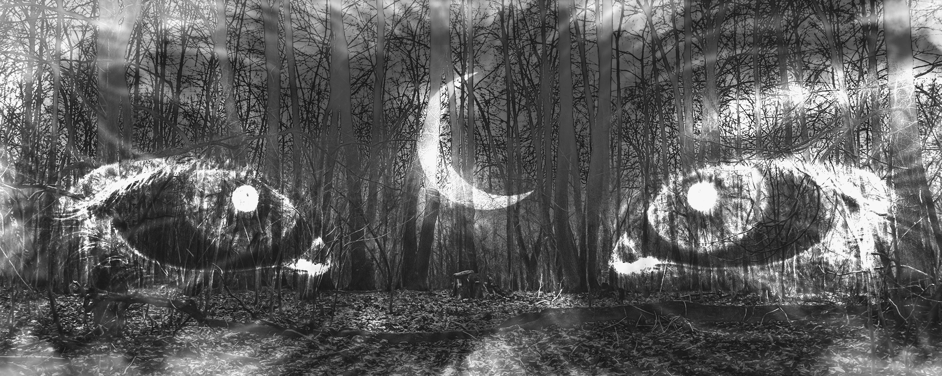 Мрак, коллажи, сюрреализм. Репортажный фотограф Анастасия Рубцова