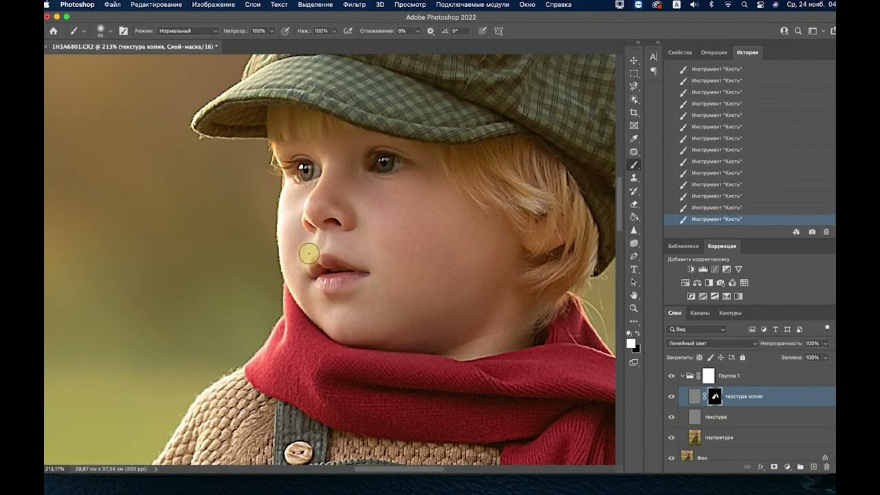 Lessons of the Course of child and family photography Elena Mikhailova. Photographer Elena Michelle