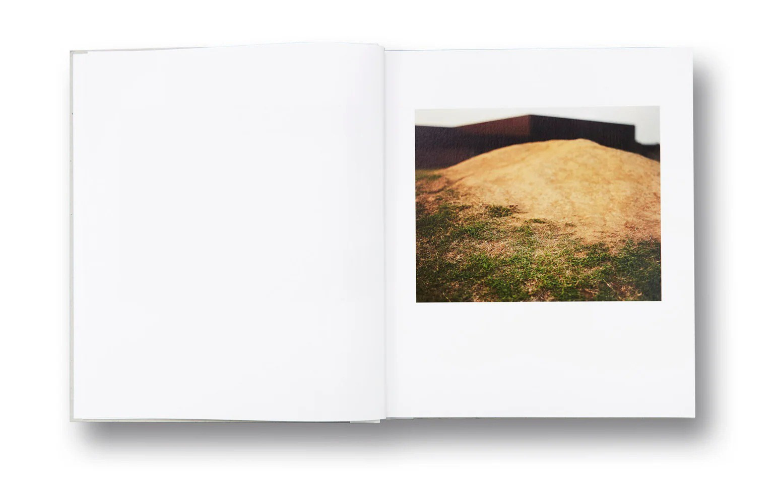 ОБЗОР АКТУАЛЬНЫХ ФОТОКНИГ: Тошнота. Самоорганизация Низина