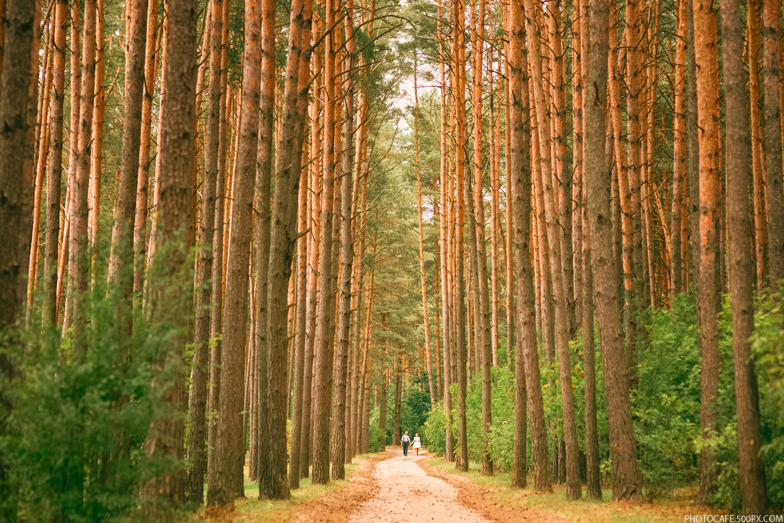 Отзывы клиентов. Профессиональный свадебный фотограф в Минске Антон Кузнецов