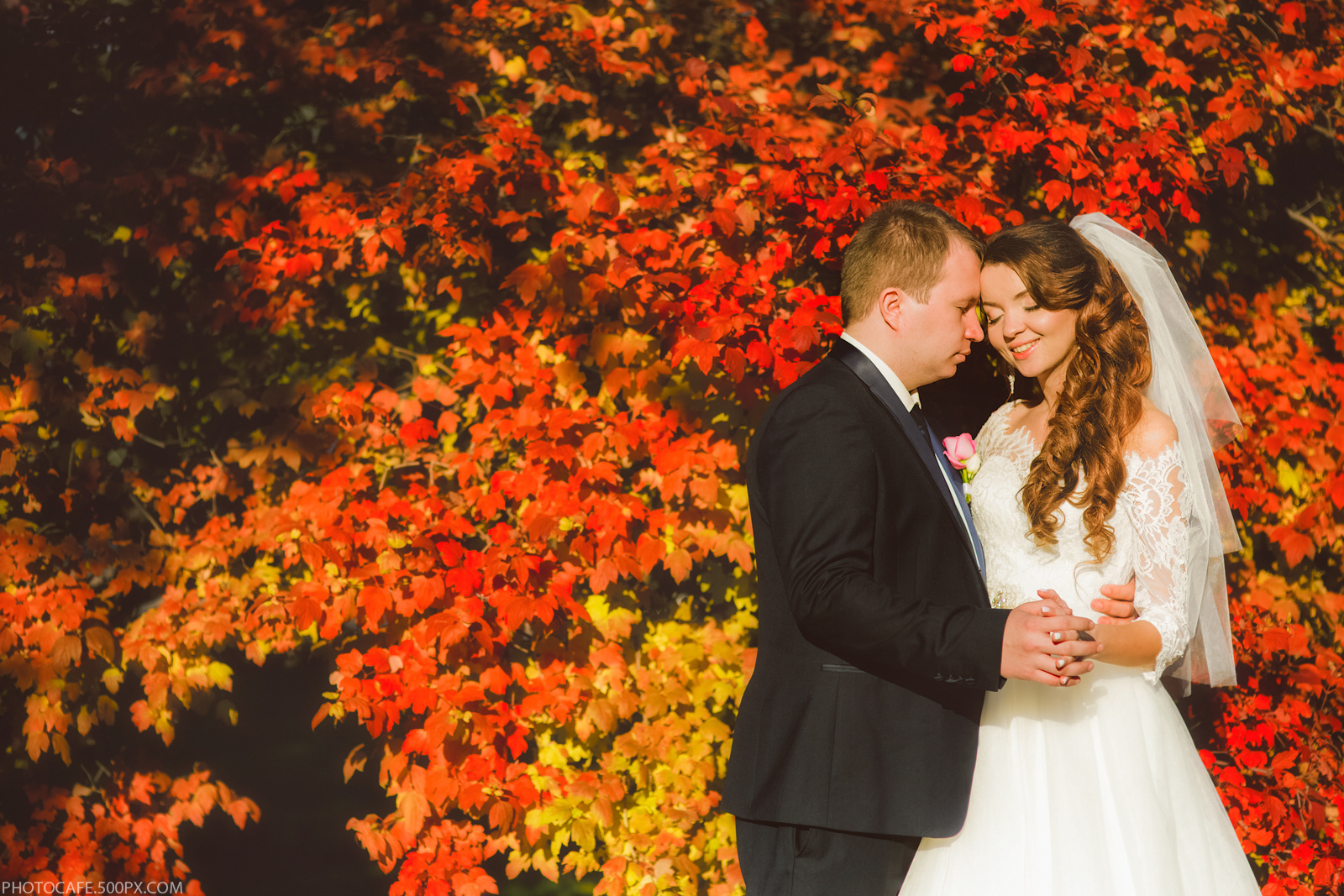 Отзывы клиентов. Профессиональный свадебный фотограф в Минске Антон Кузнецов