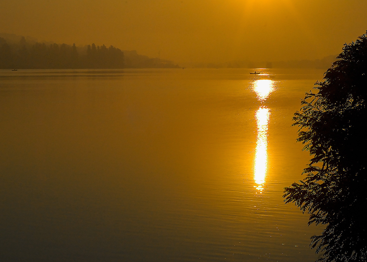 Профессиональная фотосъемка. Ростов-на-Дону