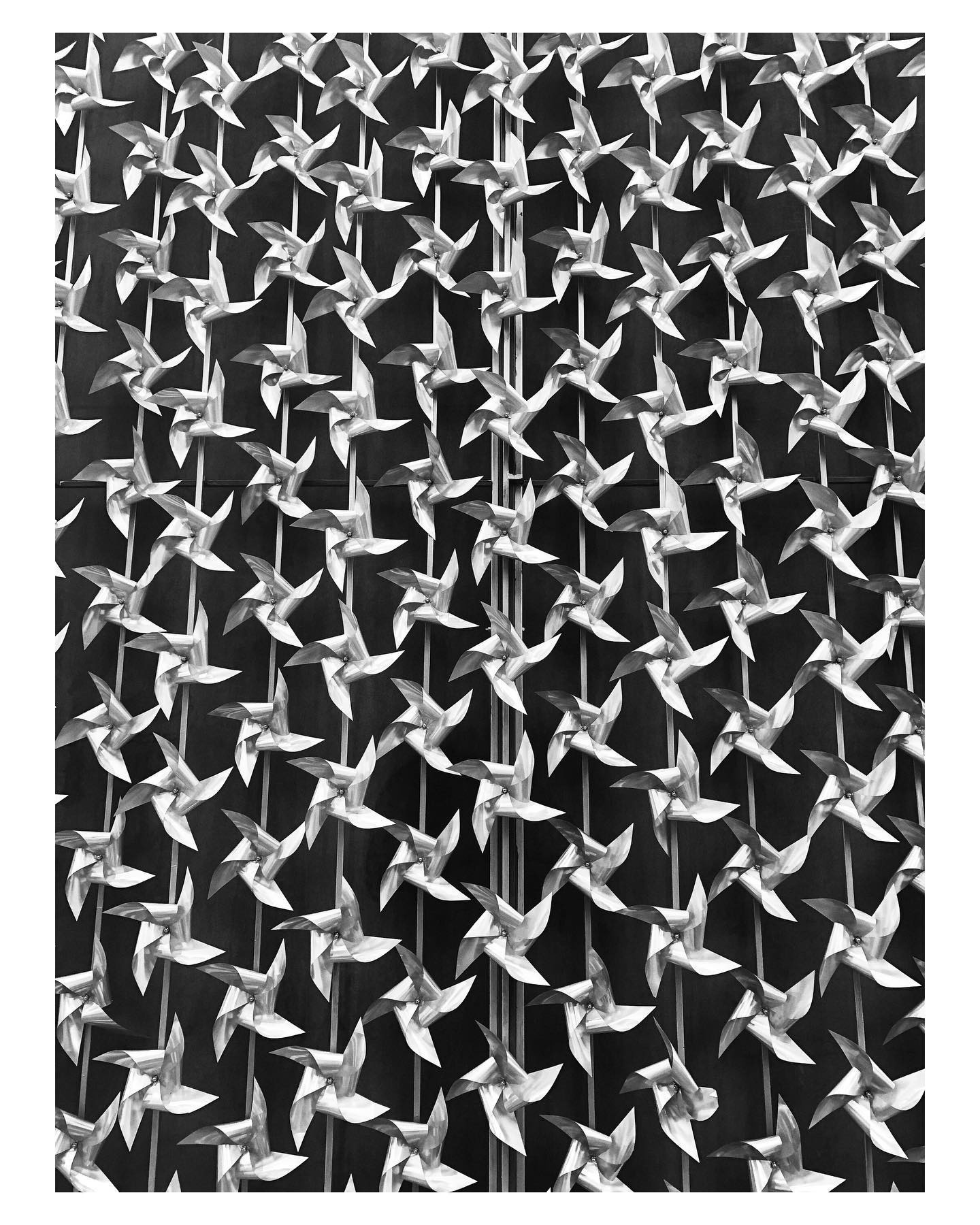 Контент фотограф в Санкт-Петербурге Виктория Усова