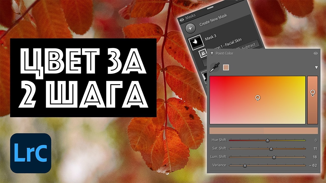 Как работает Variance в Lightroom: Уроки Точечной Обработки Цвета и Масок