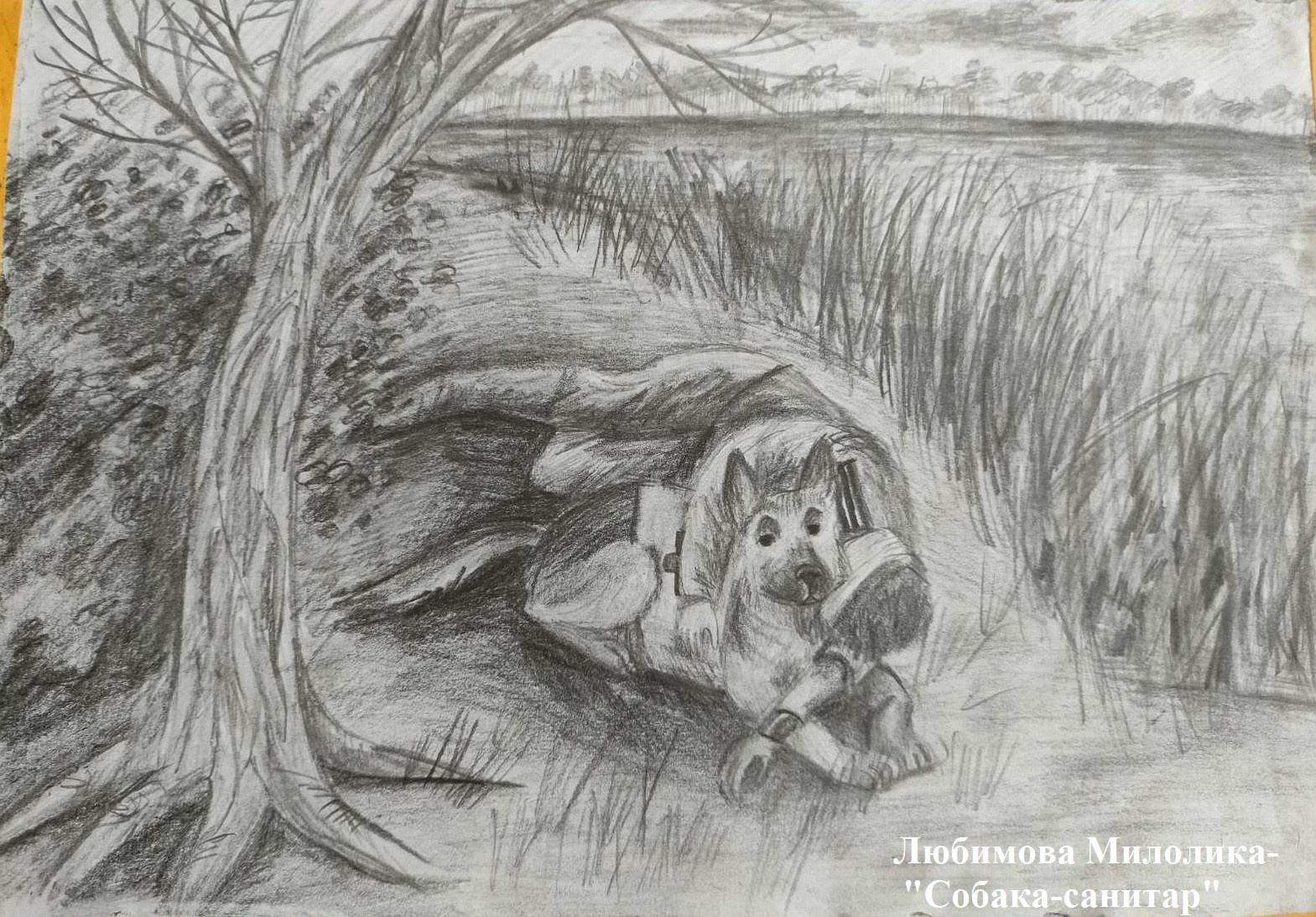 Мероприятия для юных кинологов — «Помним их имена», «Портрет фронтовой собаки». НРОО КЦ "Собаковод"