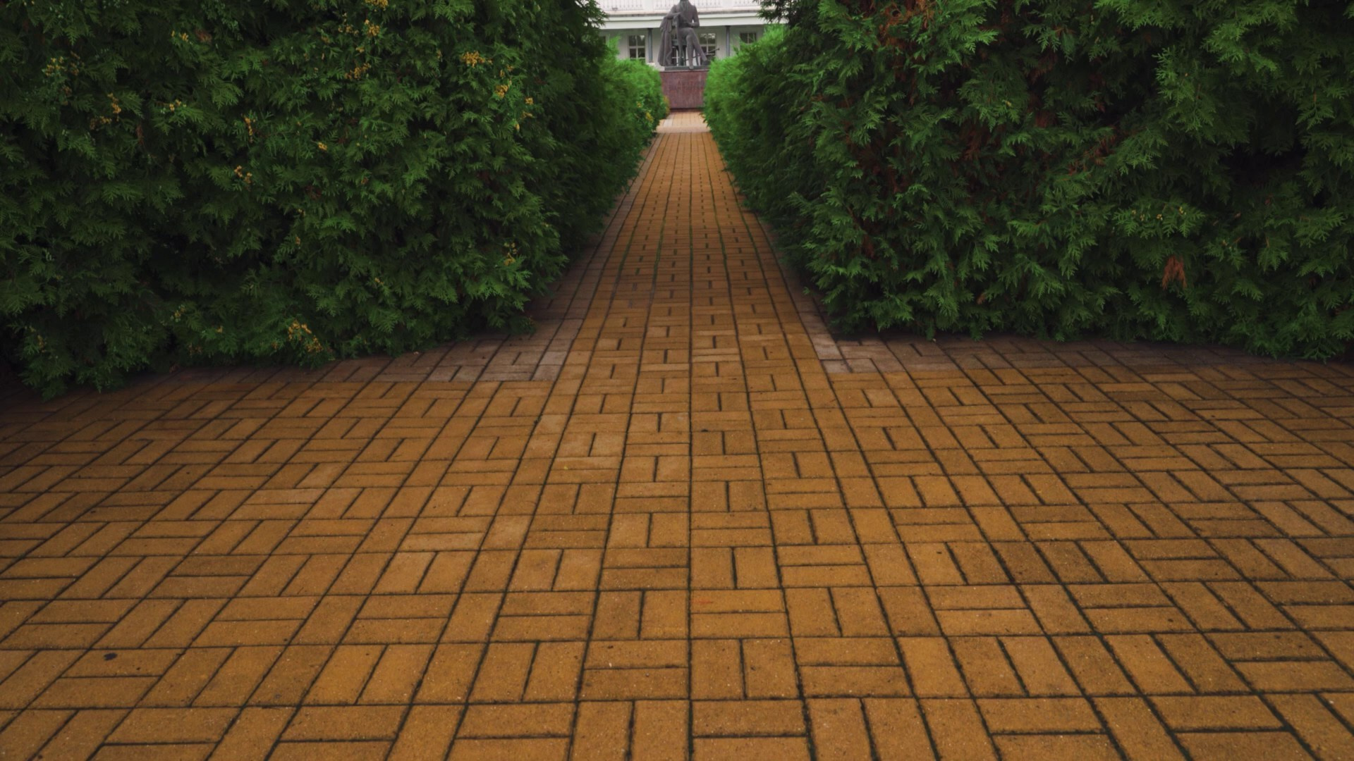 Свадебные клипы и фильмы в Воронеже | KOSTIN EDIT. Артём Костин — свадебный видеограф в Воронеже | KOSTIN EDIT