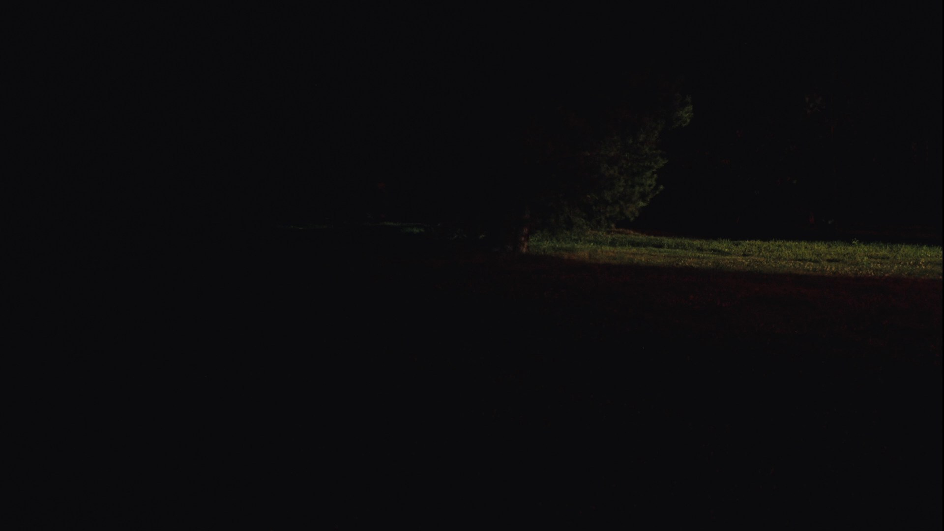 Свадебный видеограф. Свадебный видеограф в Уфе