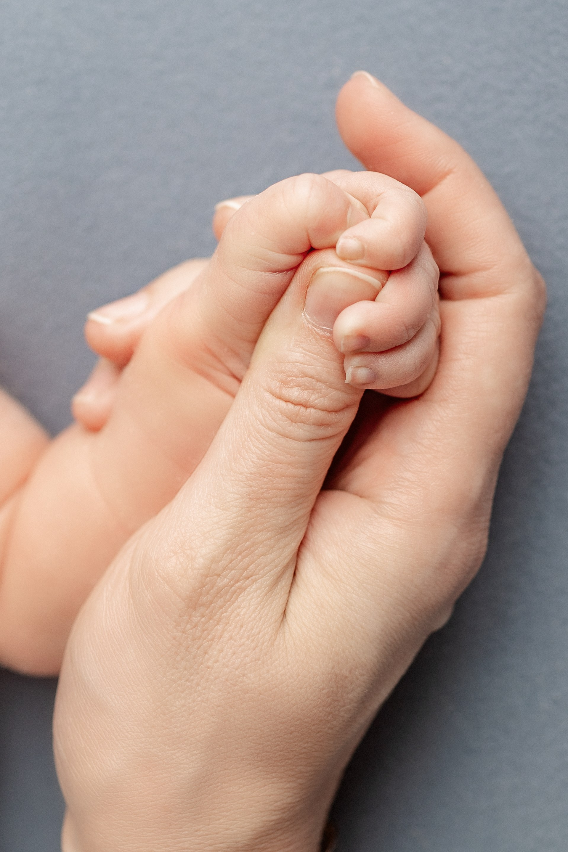 Фотосъёмка новорожденных. Фотограф Беременности и Новорождённых в Кемерово