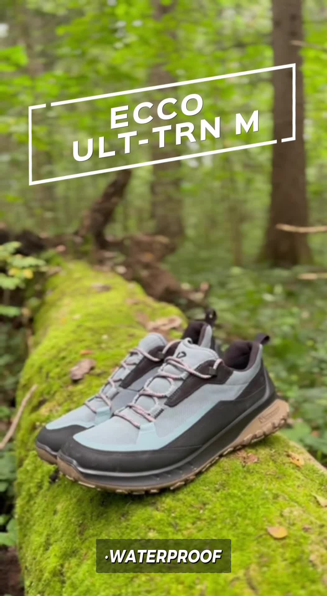 Портфолио «Две совы». Две совы