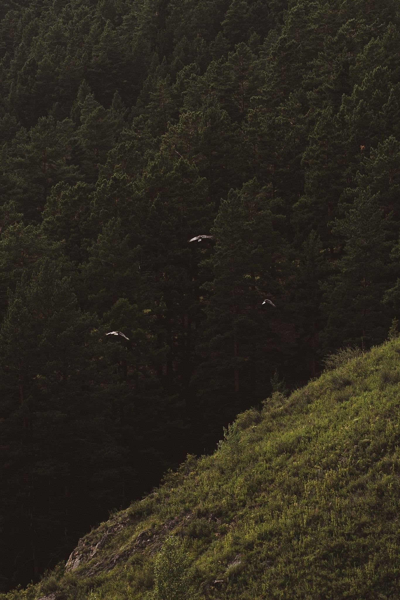 Фотограф в Чите Анна Фисенко