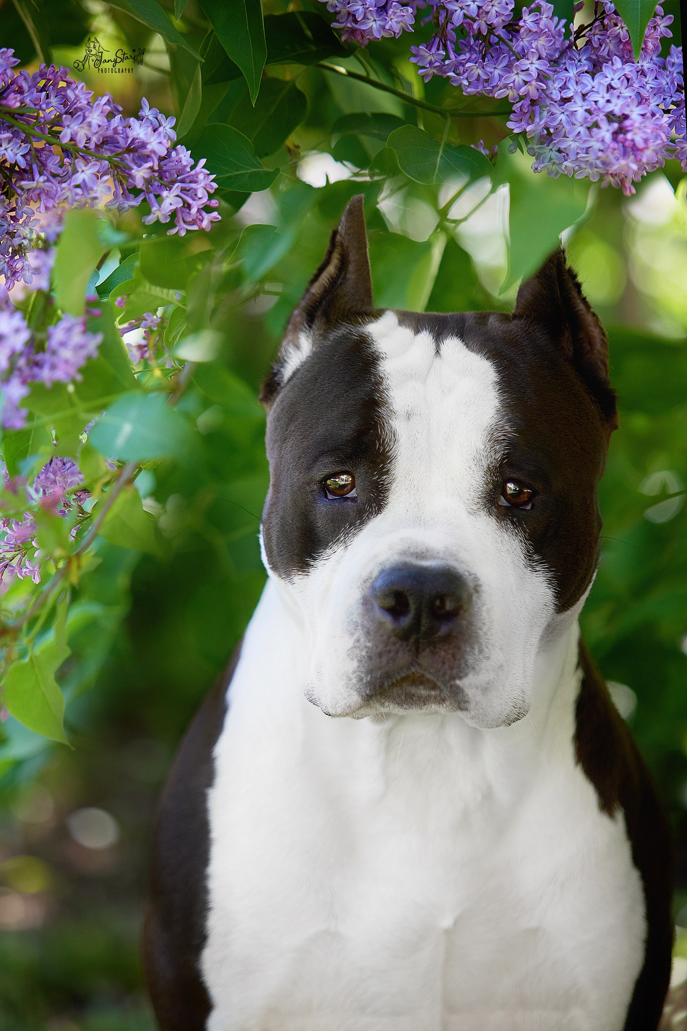 Фотограф-анималист в Москве Евгения Старостина