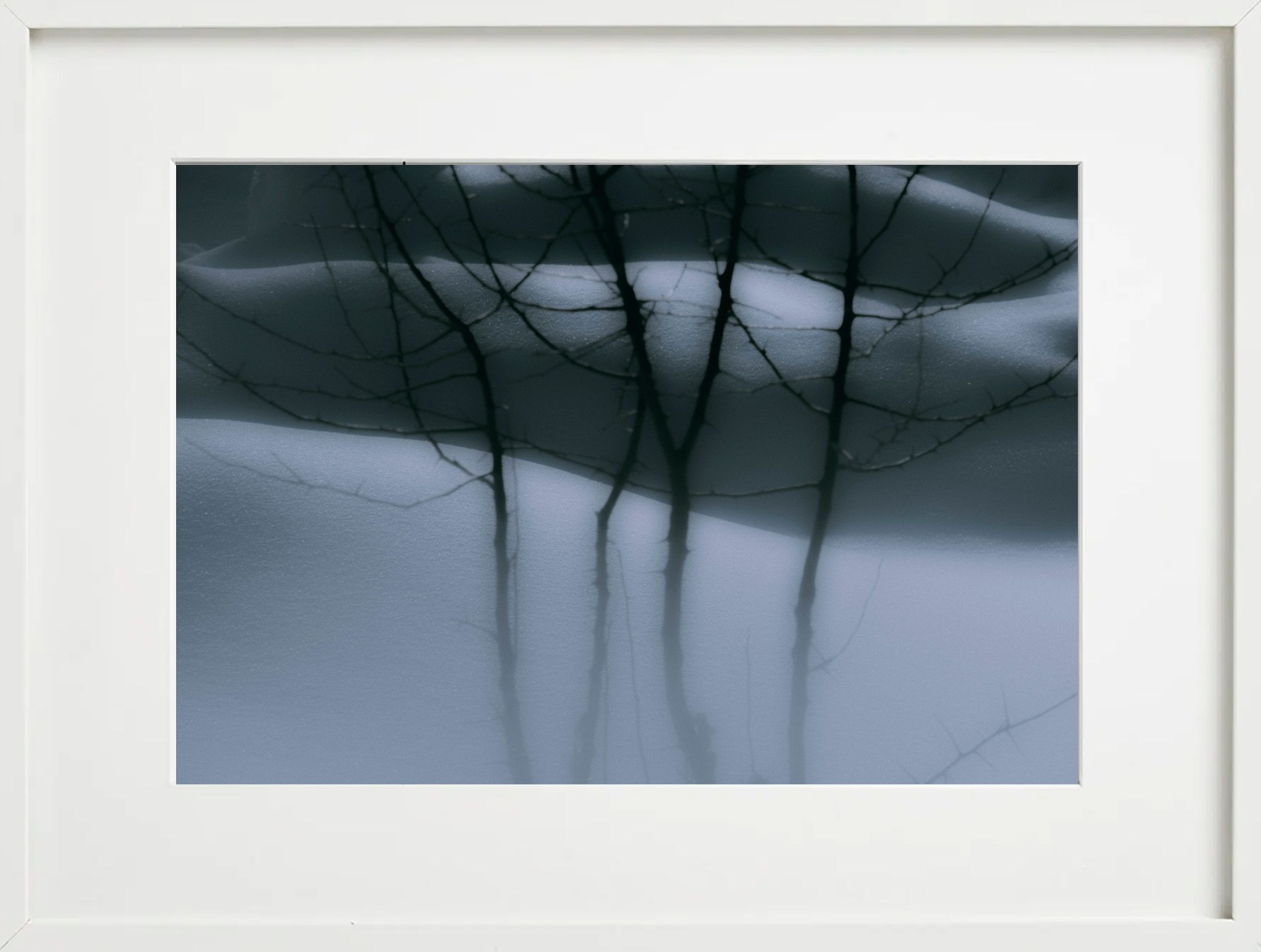 Пейзажи. Фотограф Дарья Морозова