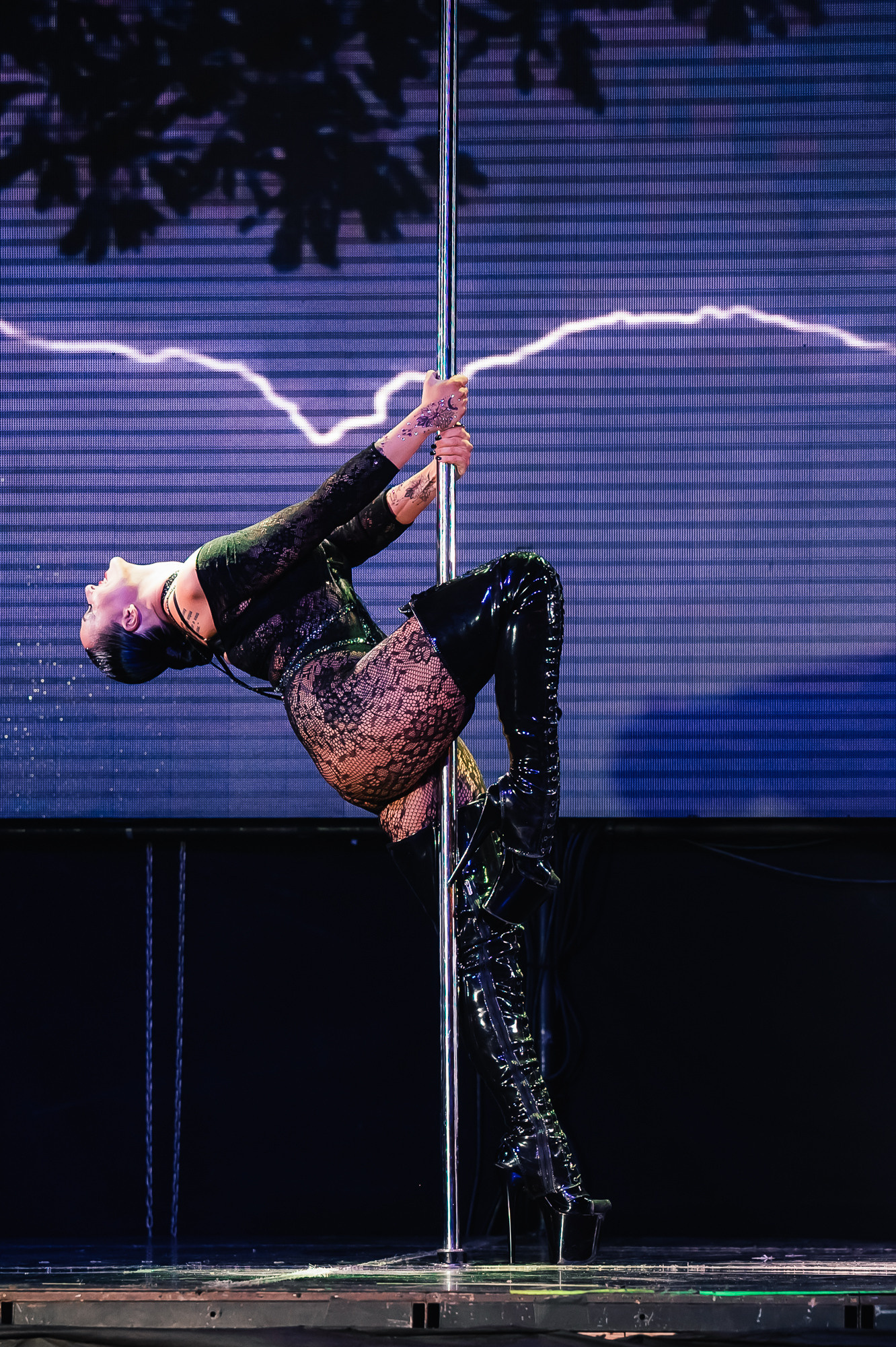 Чемпионат «ЭкзоЗима»