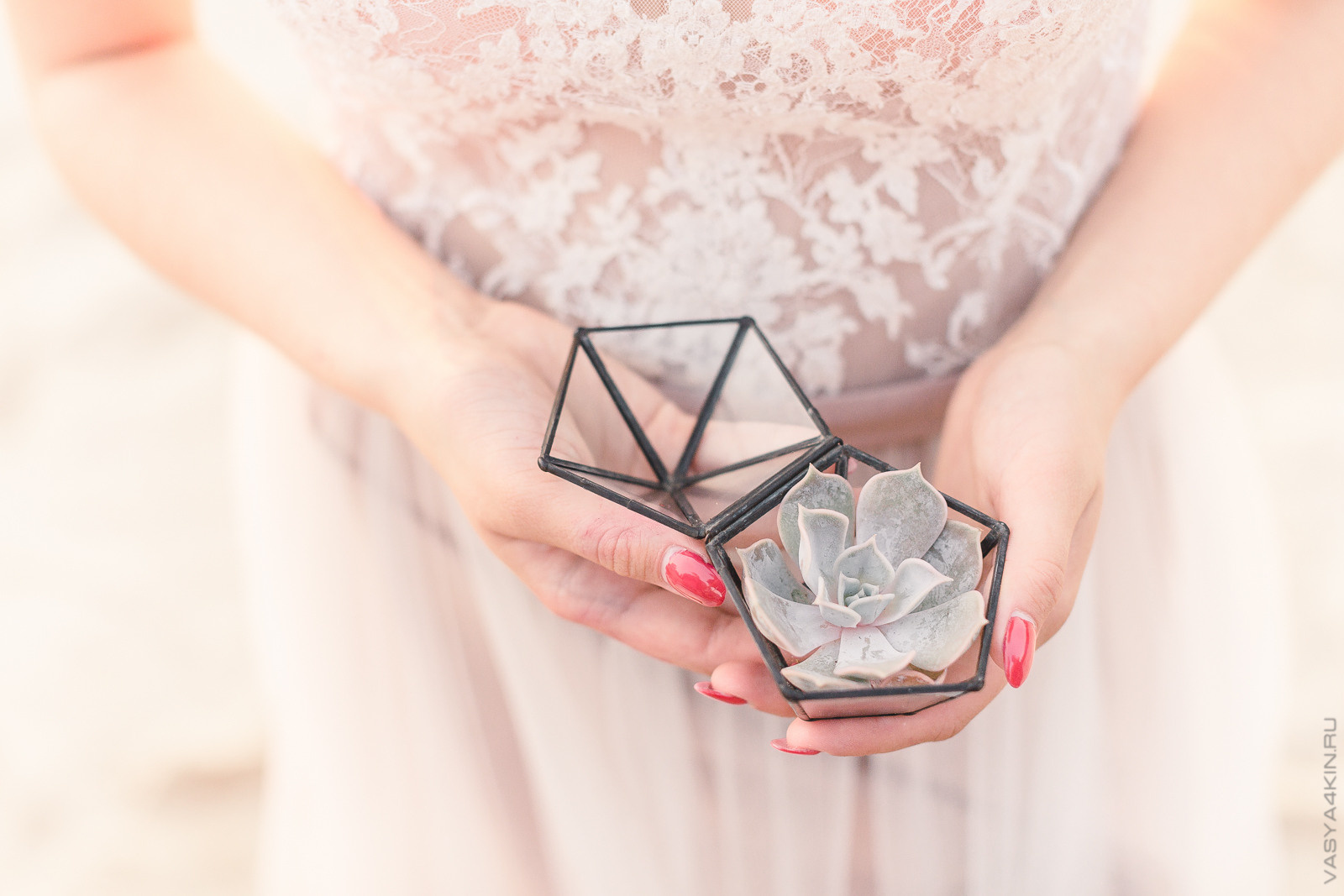 Телефон фотографа в ярославле. Свадебный фотограф Ярославль Дмитрий Васячкин