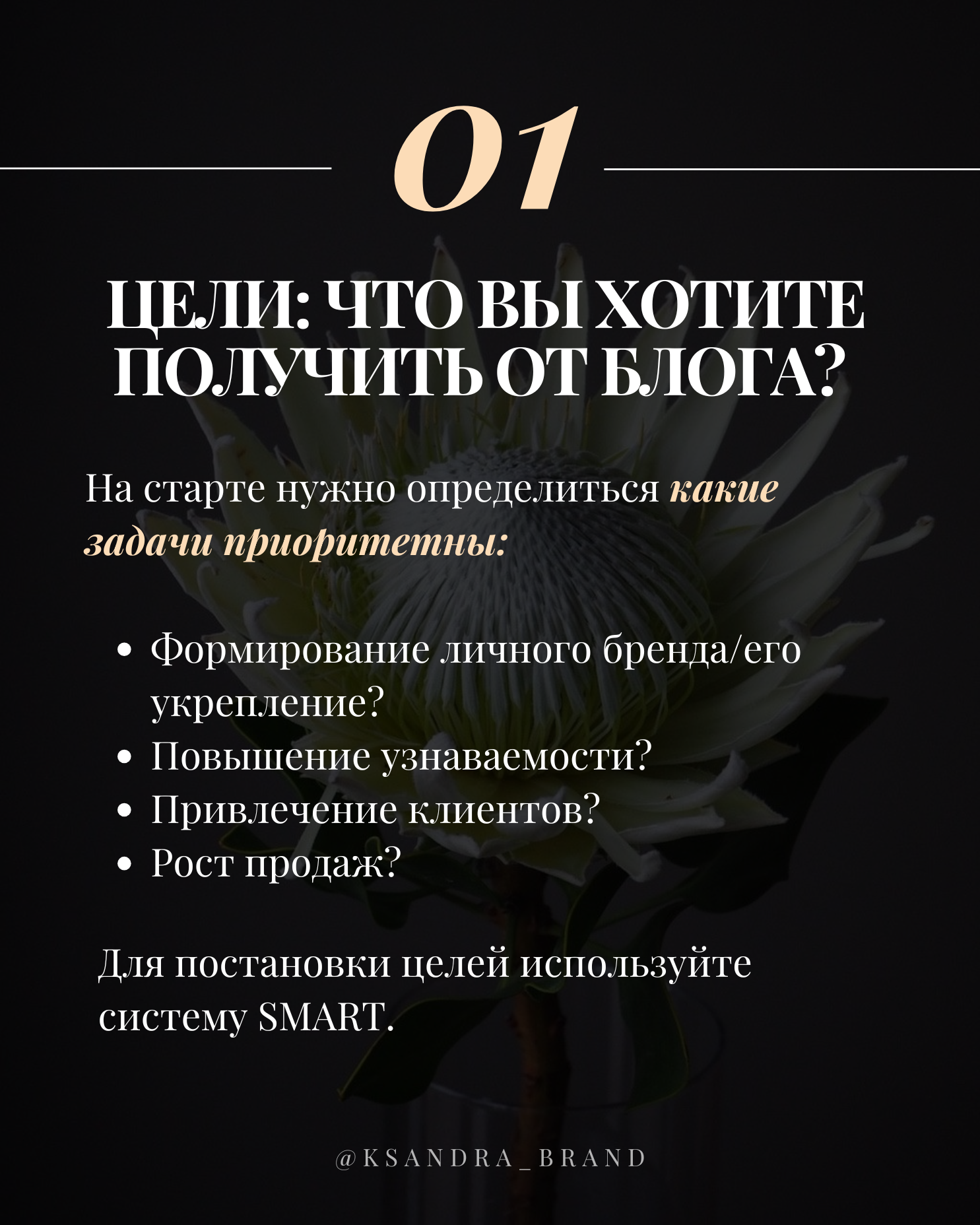 Практическое руководство: «Создание стратегии продвижения в соцсетях на 2025 год