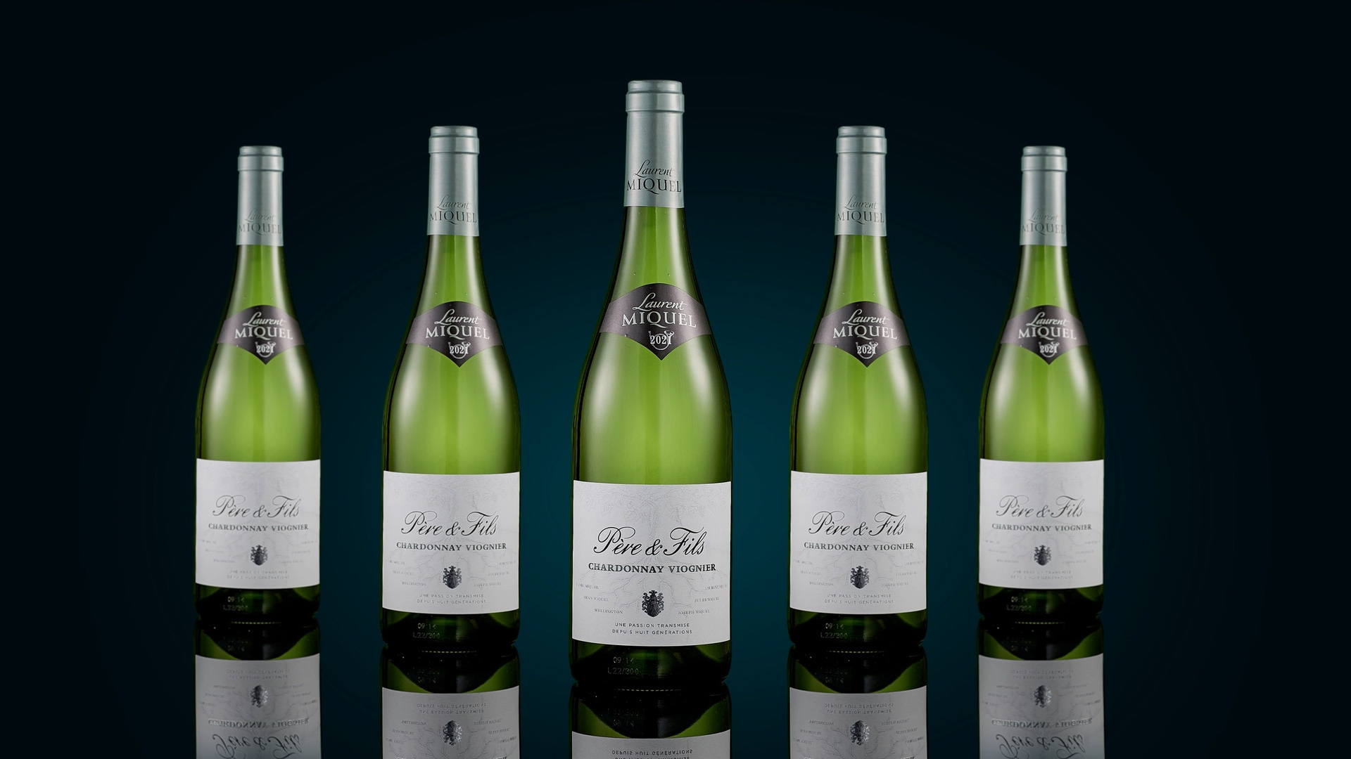 Light Media — креативный видеопродакшн