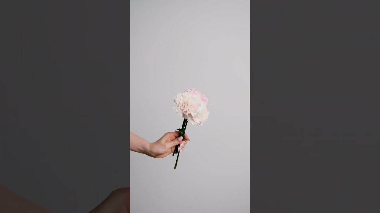 Видео | reels. Алла Мирзаи — портретный, семейный и коммерческий фотограф в Москве