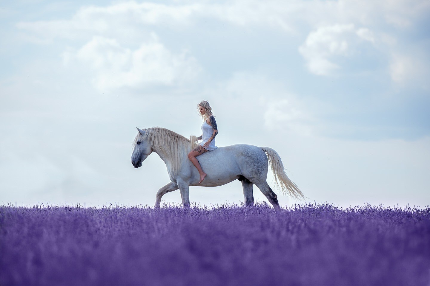 фотосессия с лошадью