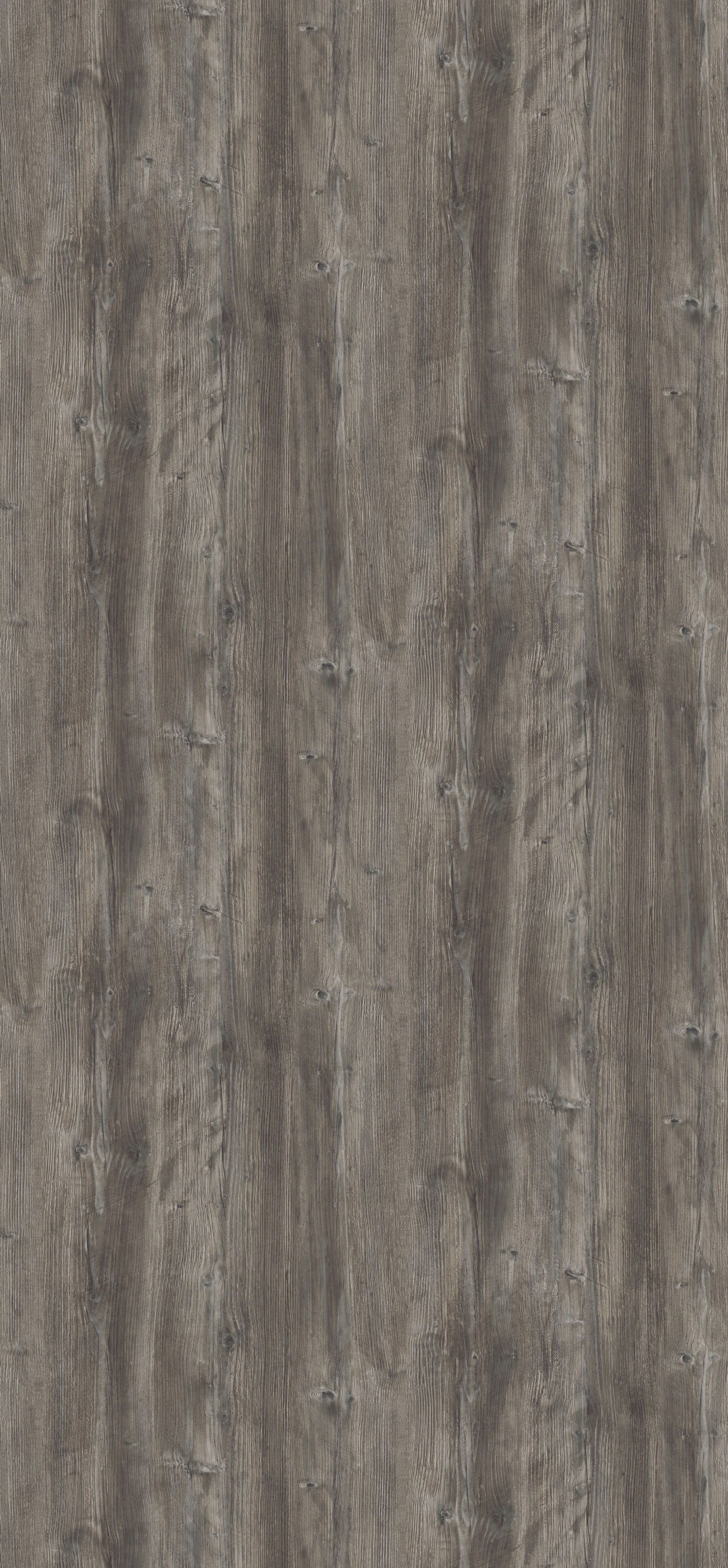 EGGER. Главная