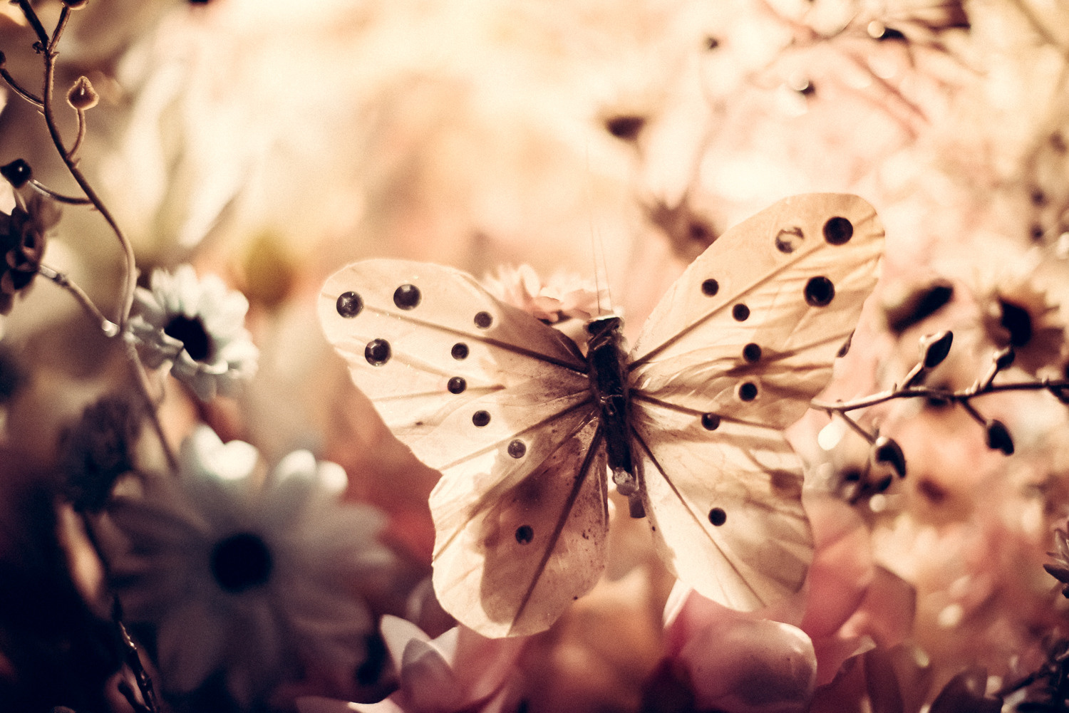 Артём Савиных — профессиональный фотограф в Москве | Репортажи, свадьбы, портреты