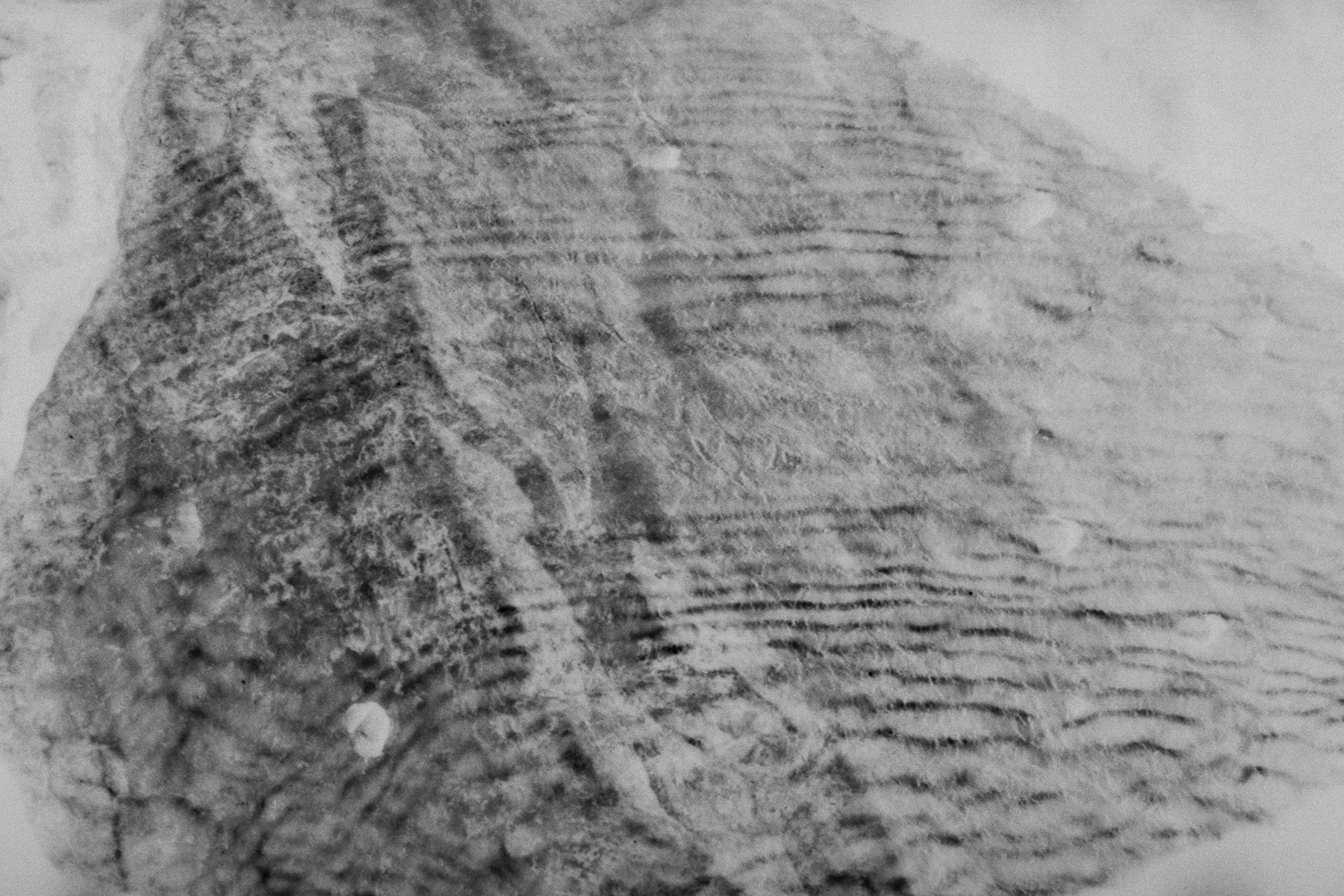 Vika Bykovskaya photography