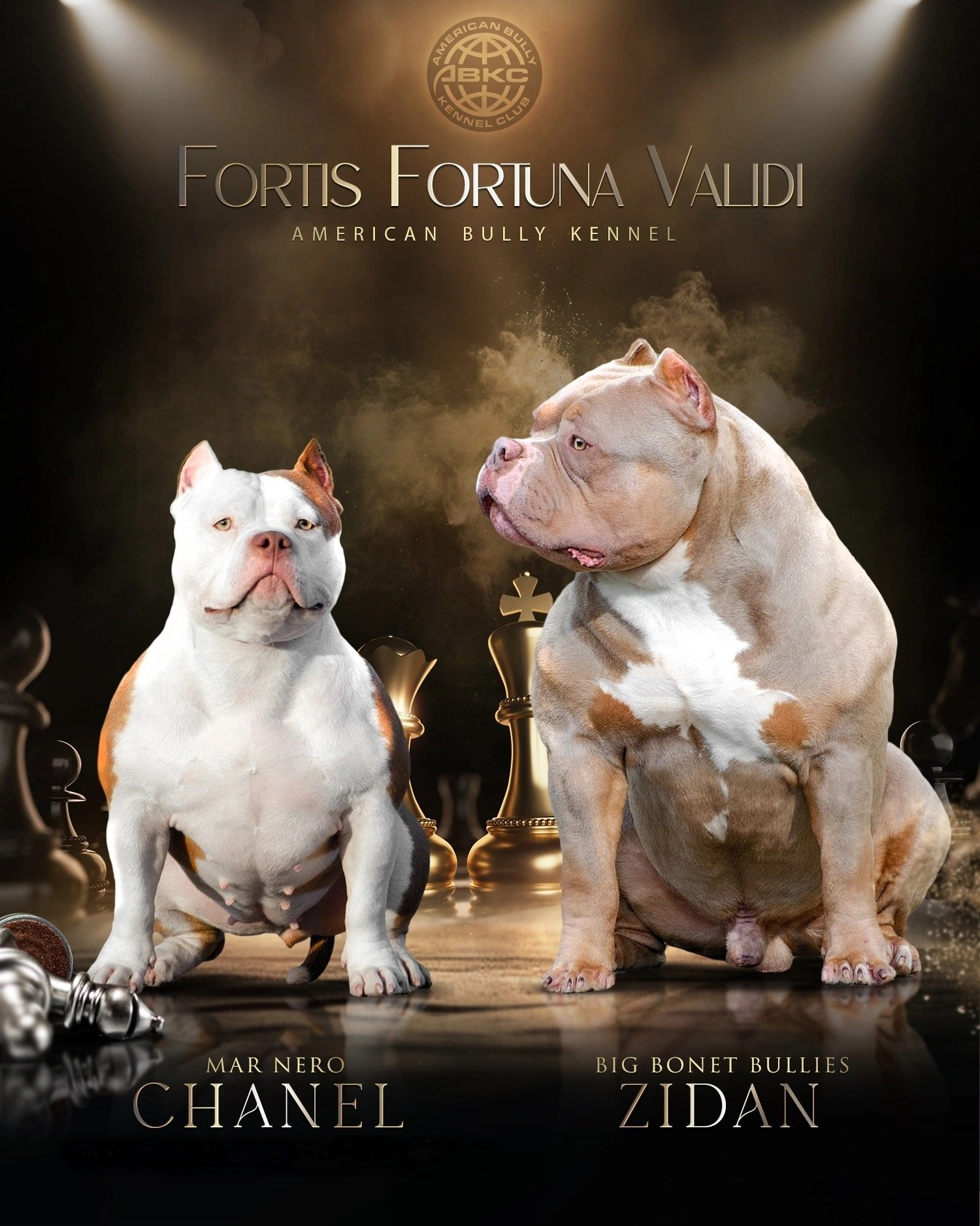 CHANEL и ZIDAN, презентация американских булли 
