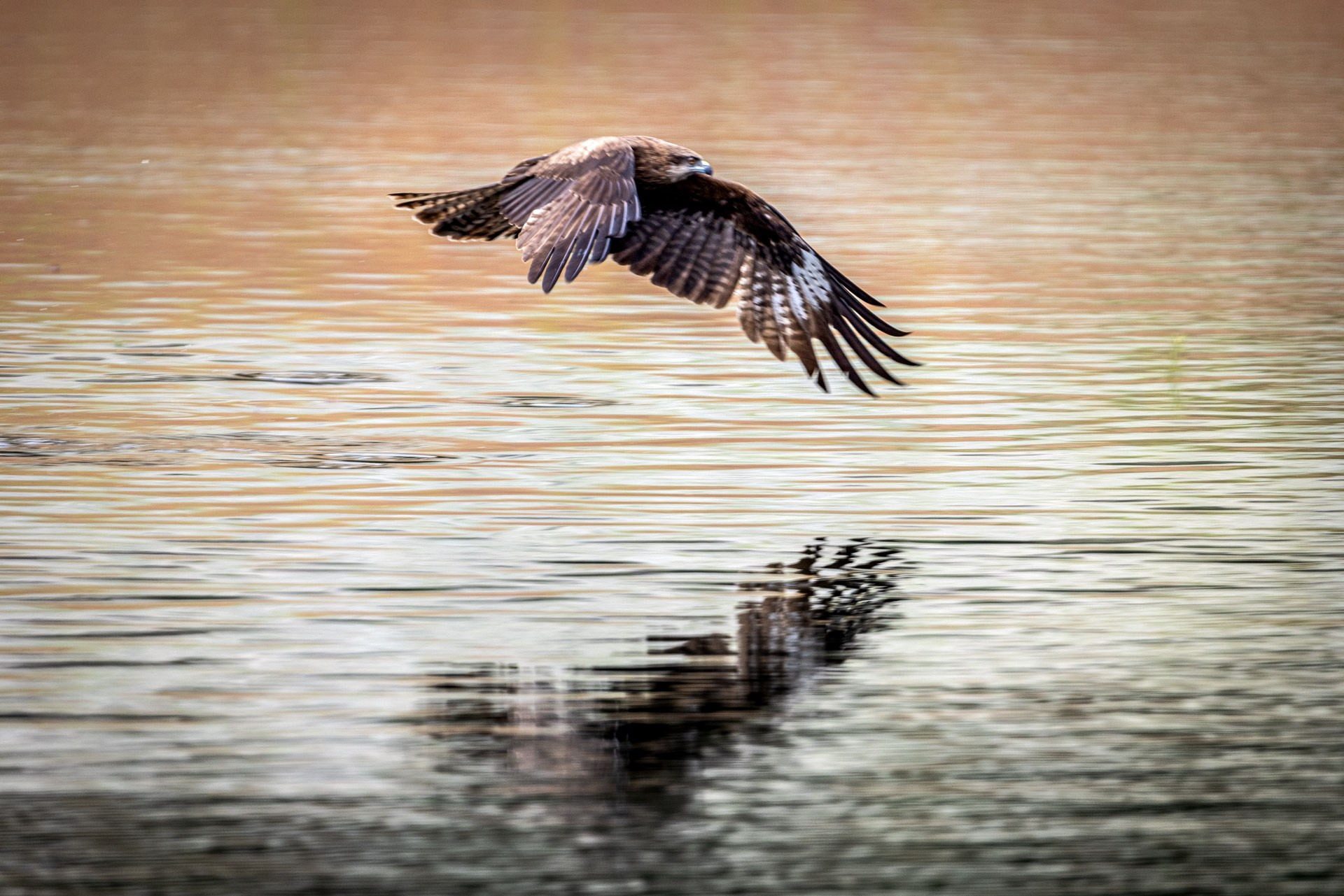 Девичник Саяны. Анна Баженовская Женский фотограф Москва