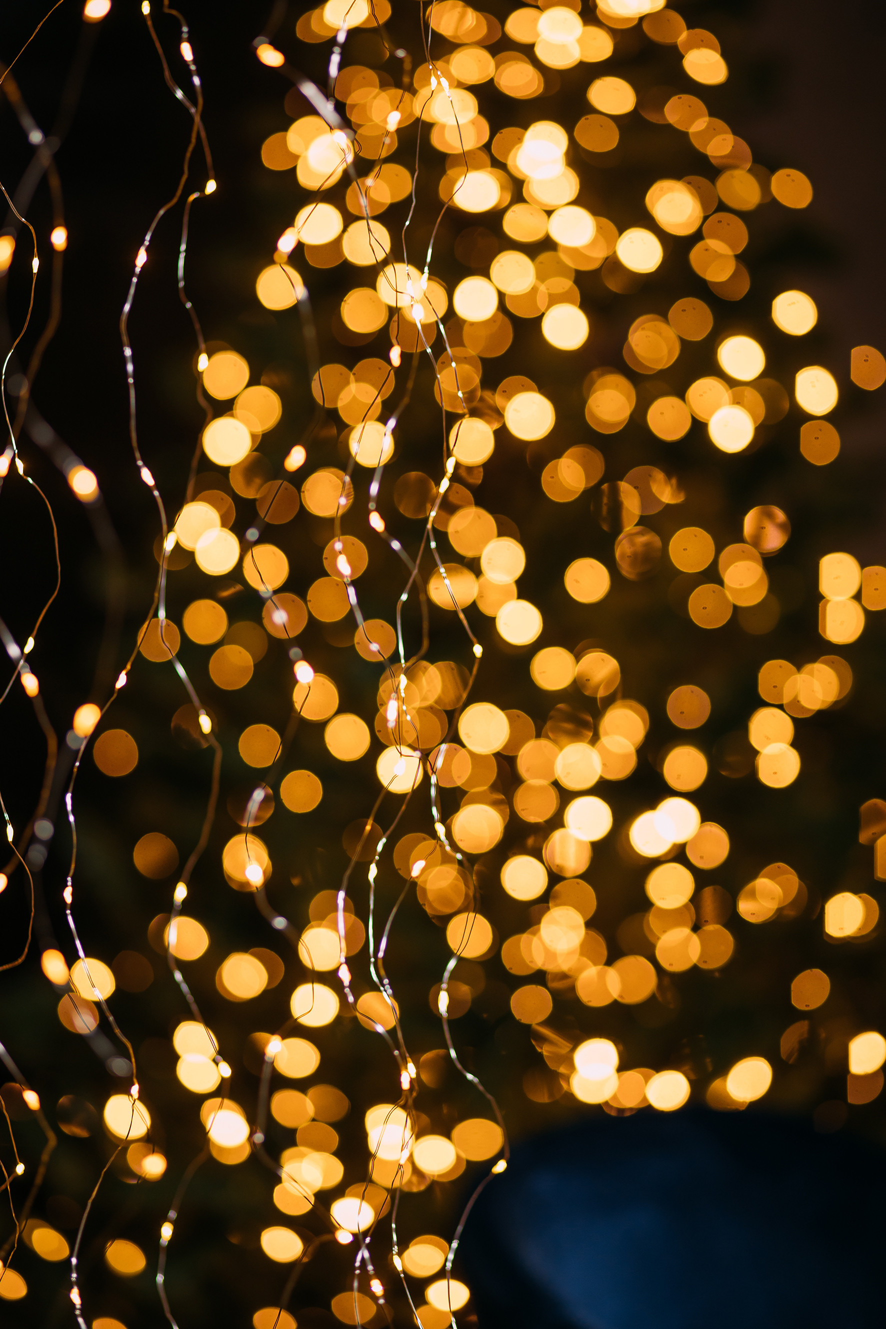 Истории. Женский и семейный фотограф Елена Петрова