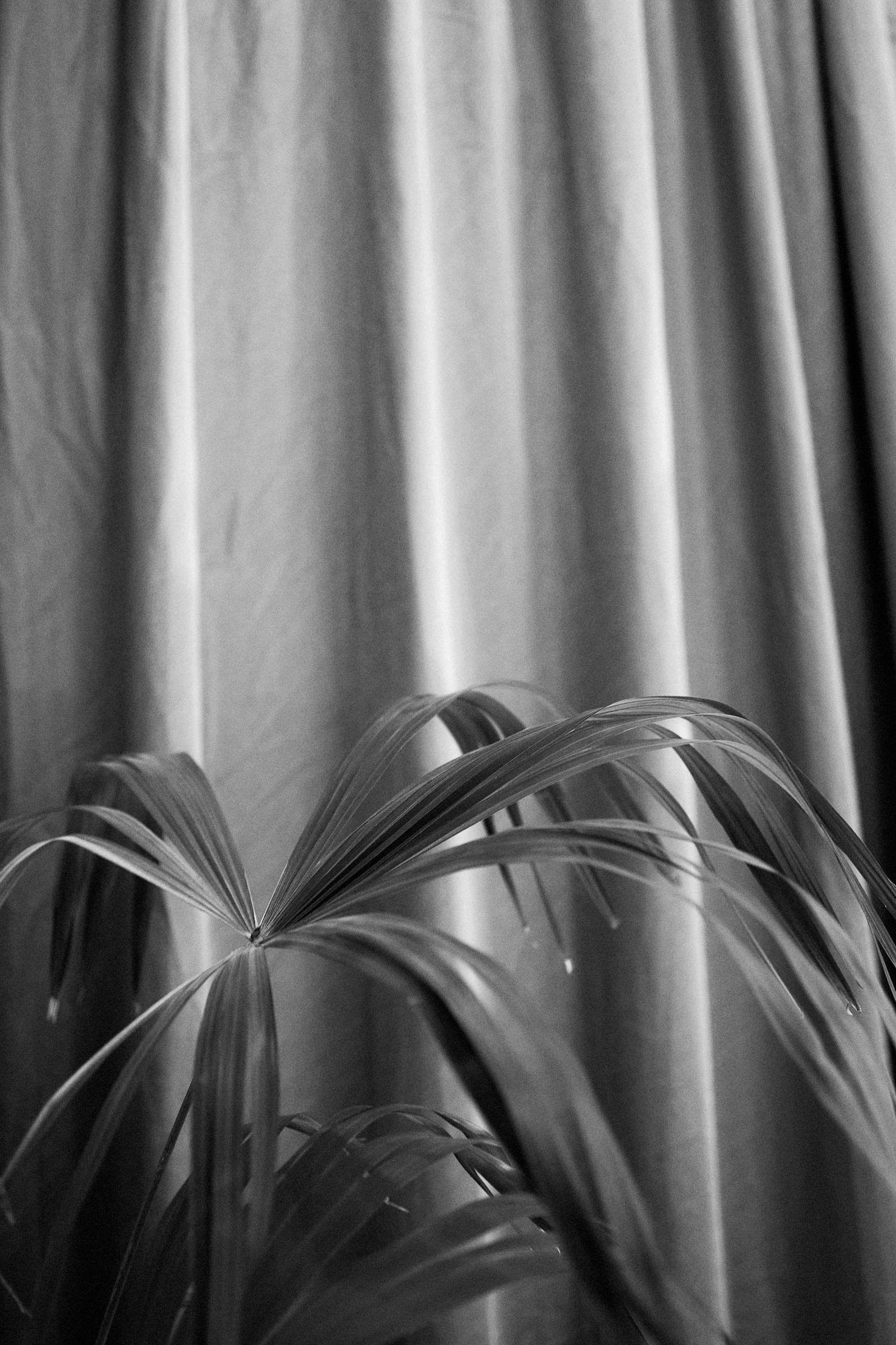 Бал. Денис Паунин — Фотографии